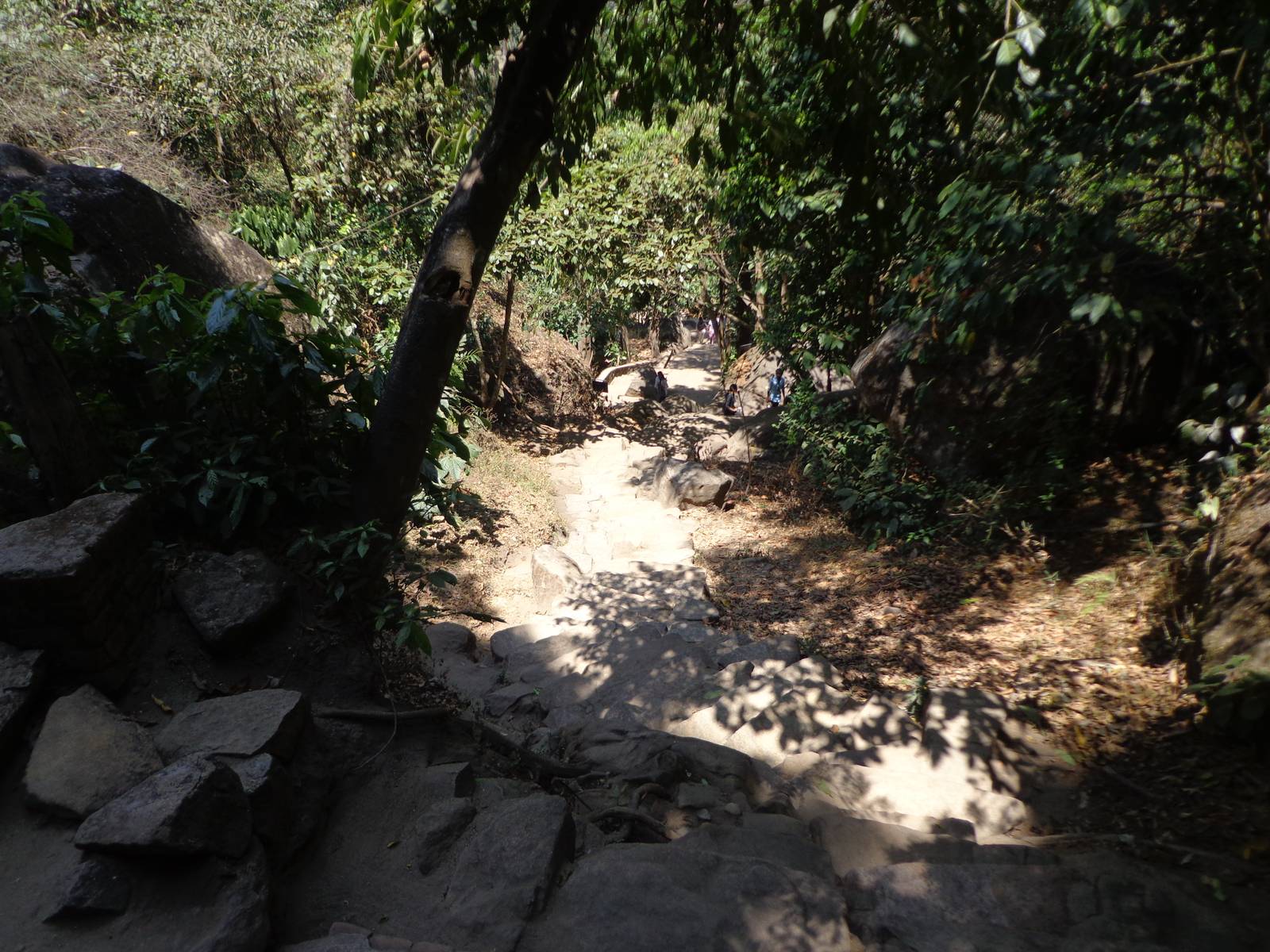 The road to the caves is rocky but is not very tiring.