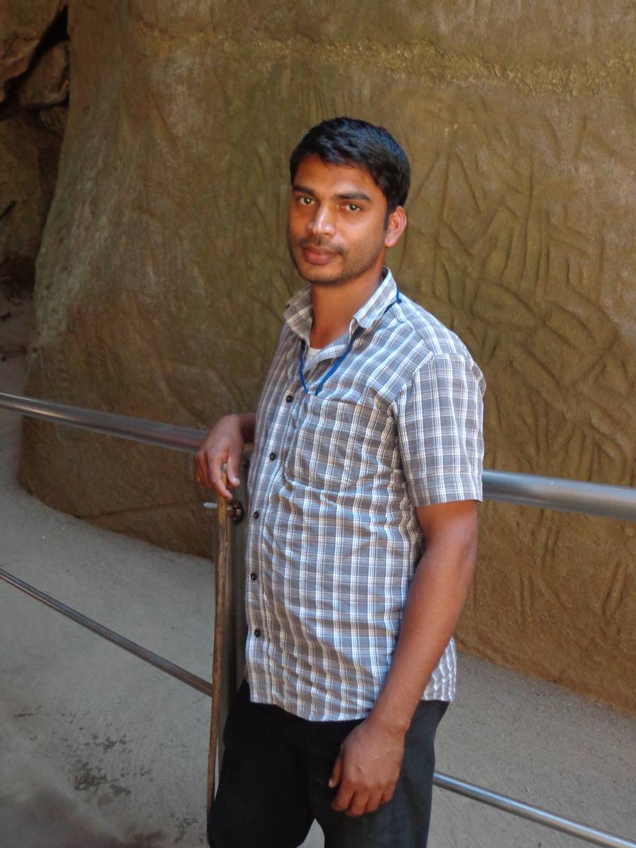 Dinesh, an employee of District Tourism Development Council, explained us the engravings.