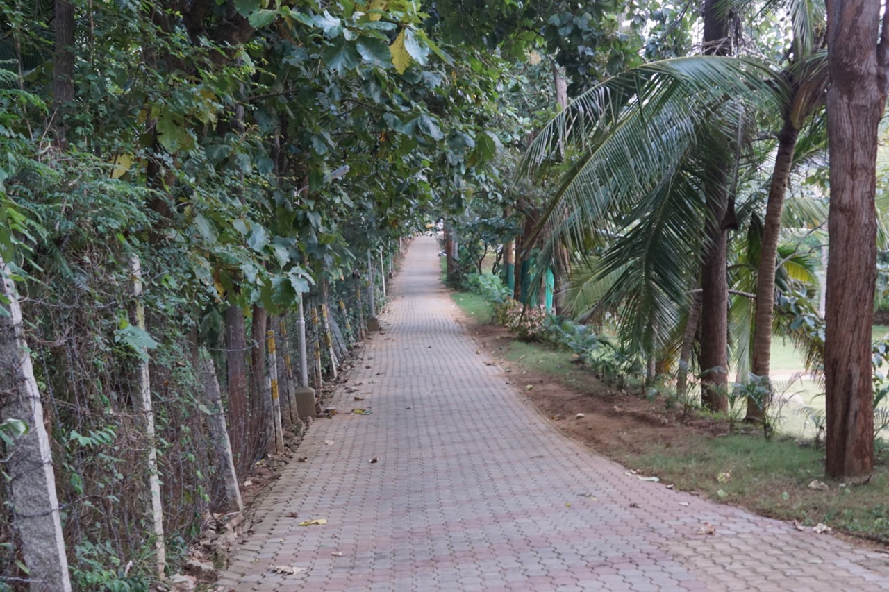 The interior roads are nicely paved. The area on the left is another resort that overlooks the Chudanahalli lake.