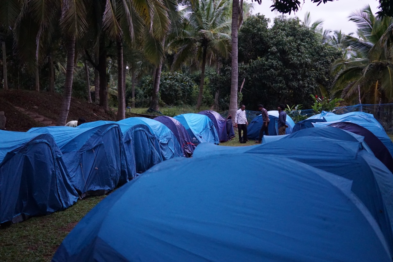 Lots of Quechua Arpenaz 2s.