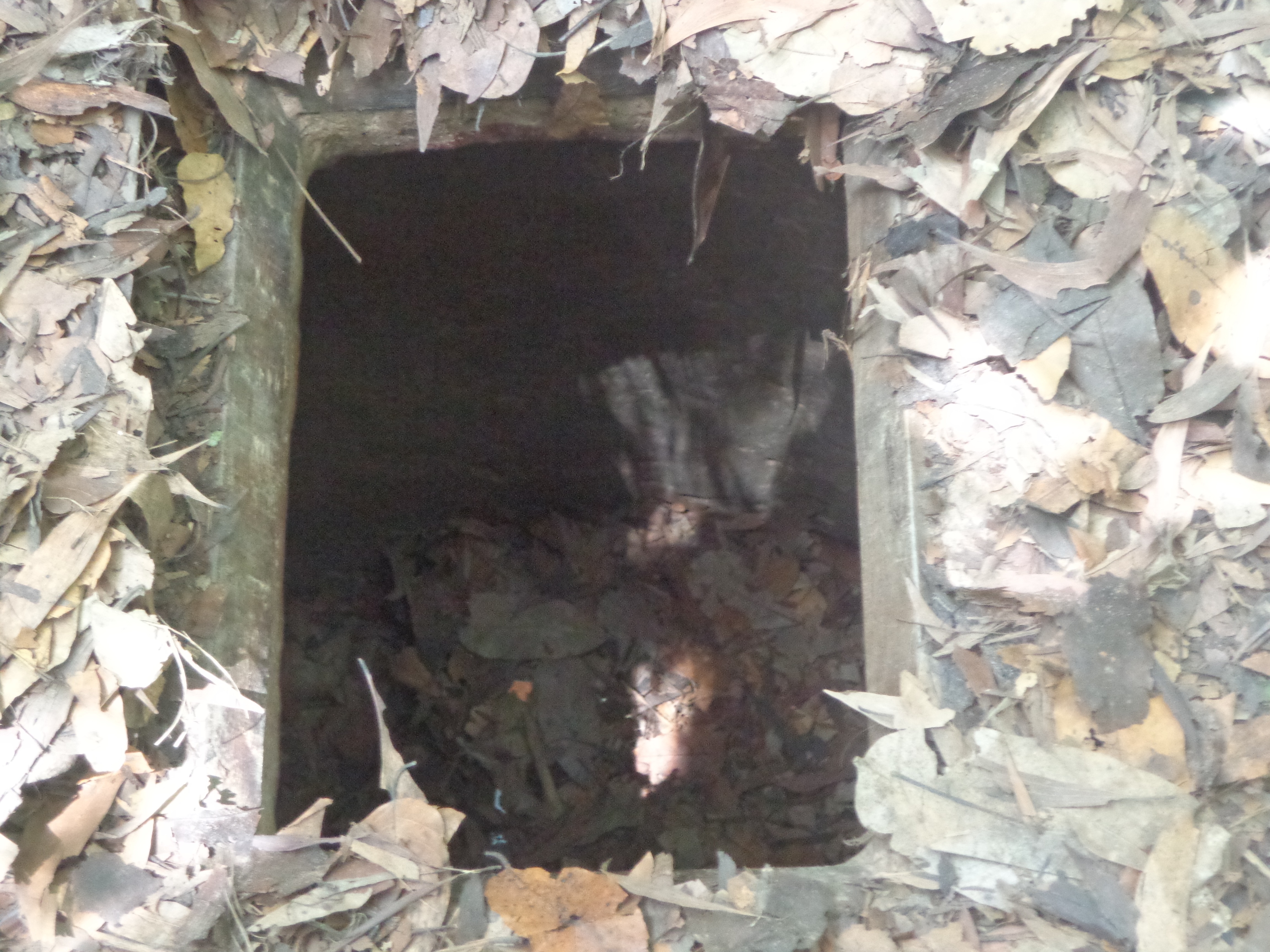 The tunnel entrances are narrow and most suited for the skinny Vietnamese people.