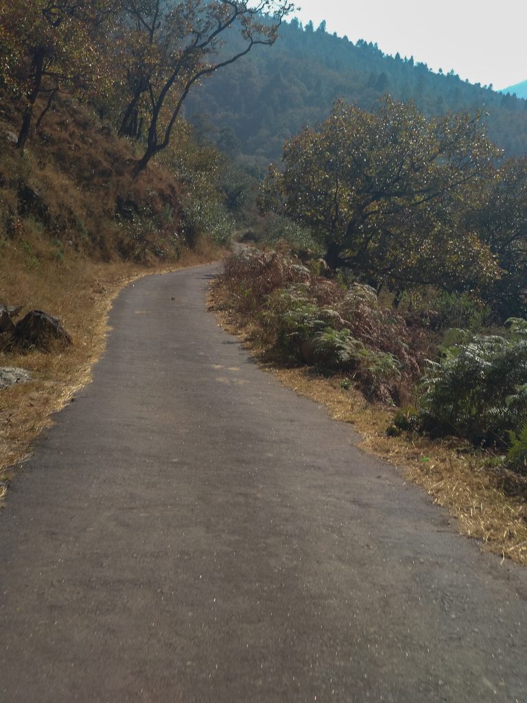 These lovely roads reminded me of those I&rsquo;ve cycled on when passing through the villages around Bangalore