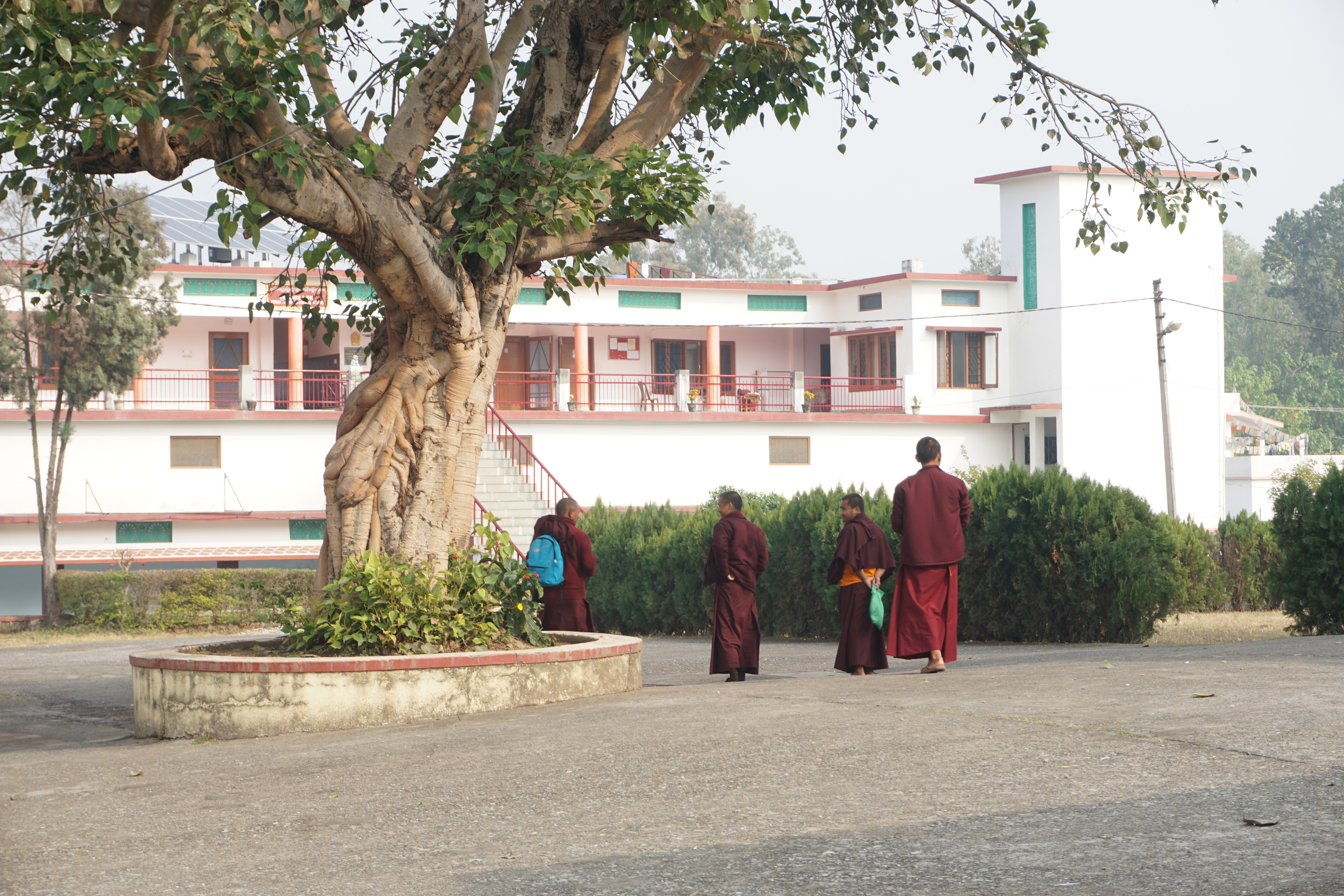 Monks in front of a Tibetan school. There is also a college that teaches advanced Buddhist studies. It offers a very rigorous course that a novice monk, if selected, has to undertake for nine years.