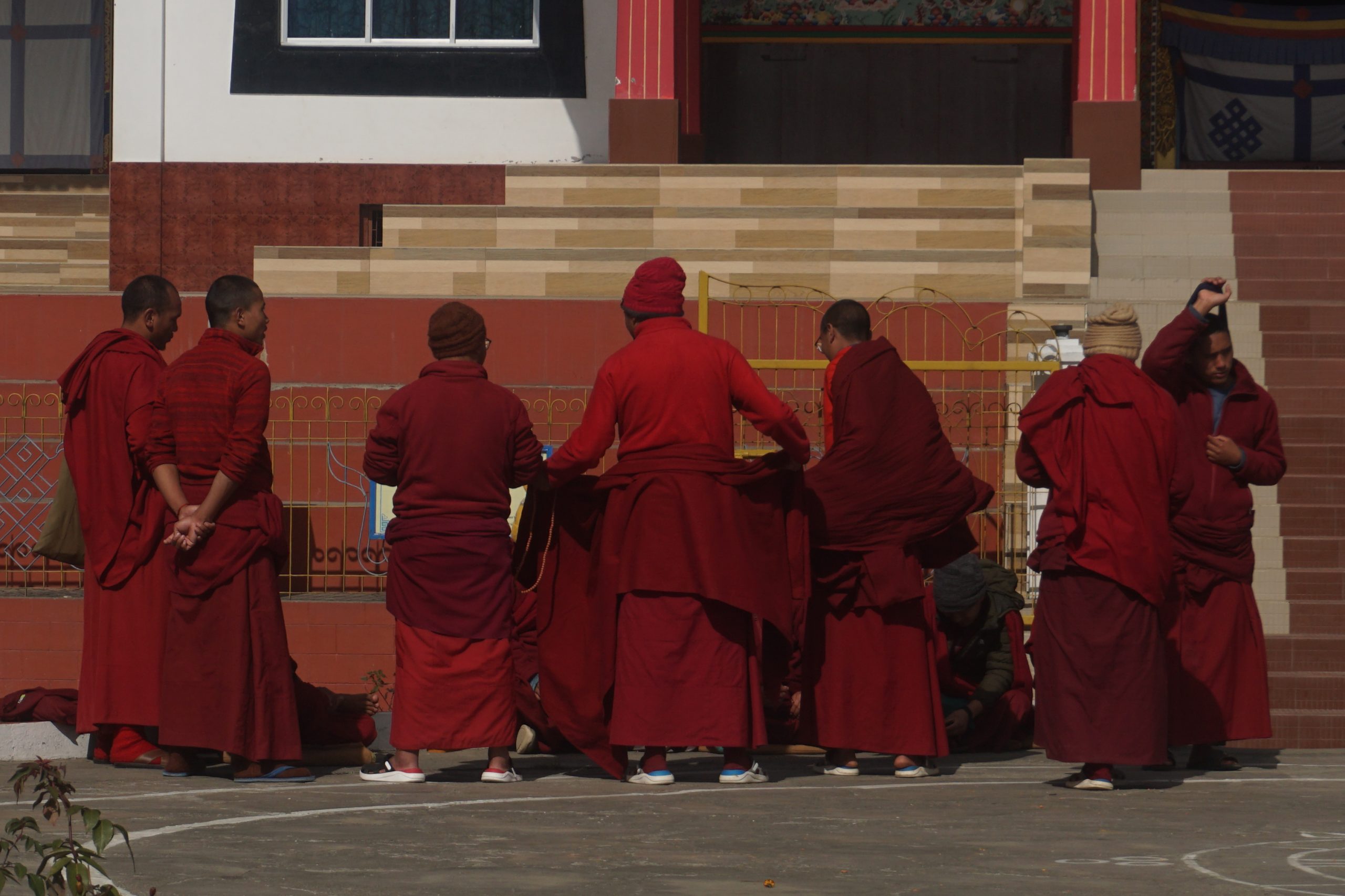 Elder monks were studying for their Buddhist Philosophy examination.