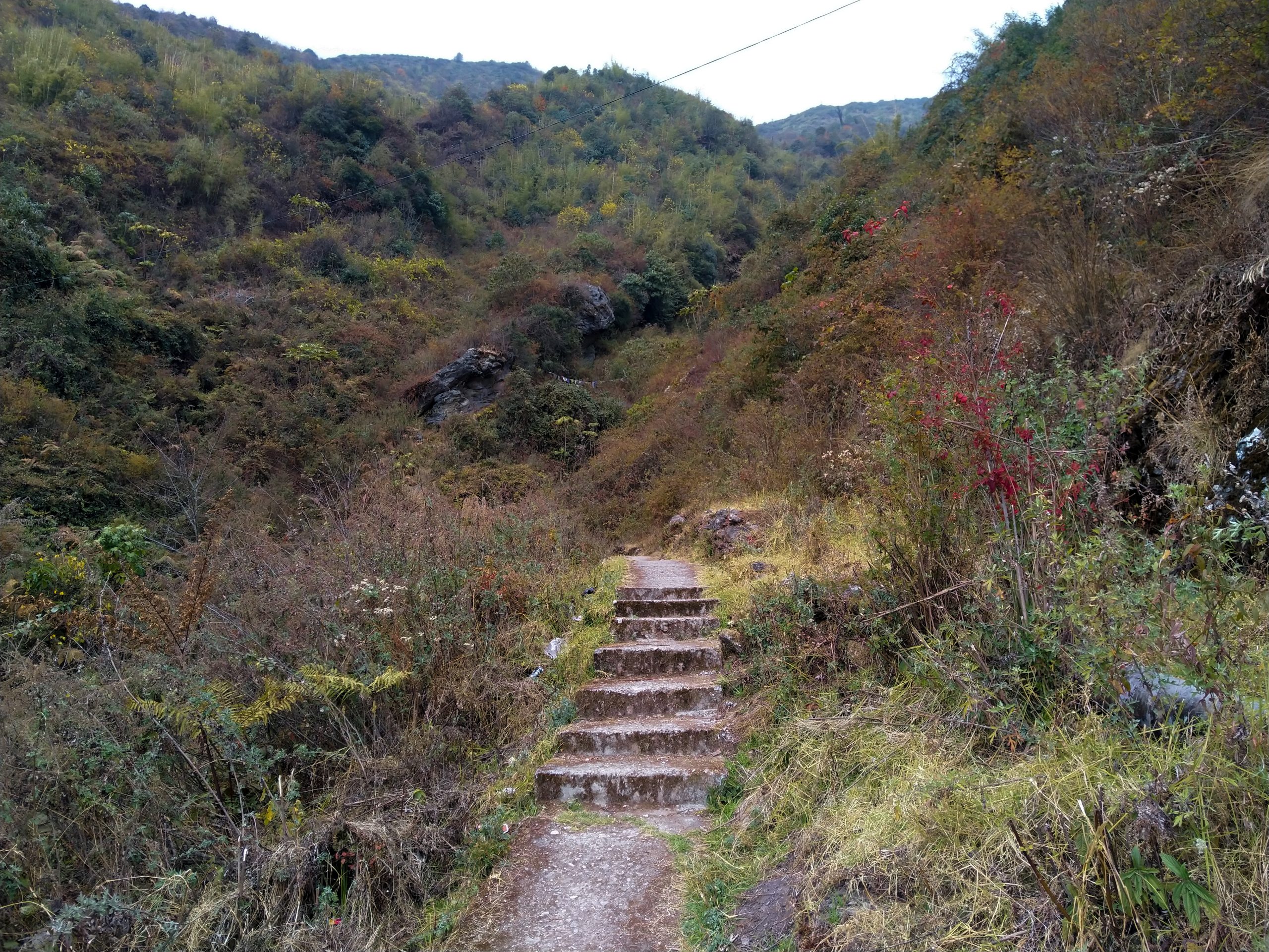 The stairs form much of the trail.