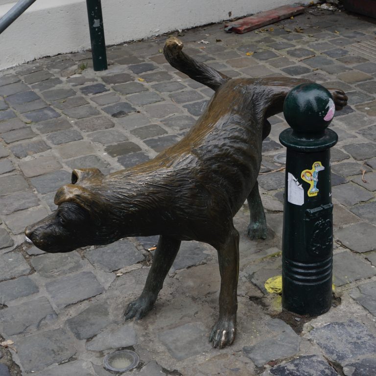 There was also a statue of a dog pissing. I have no idea what affinity Brussels has with pissing mammals.
