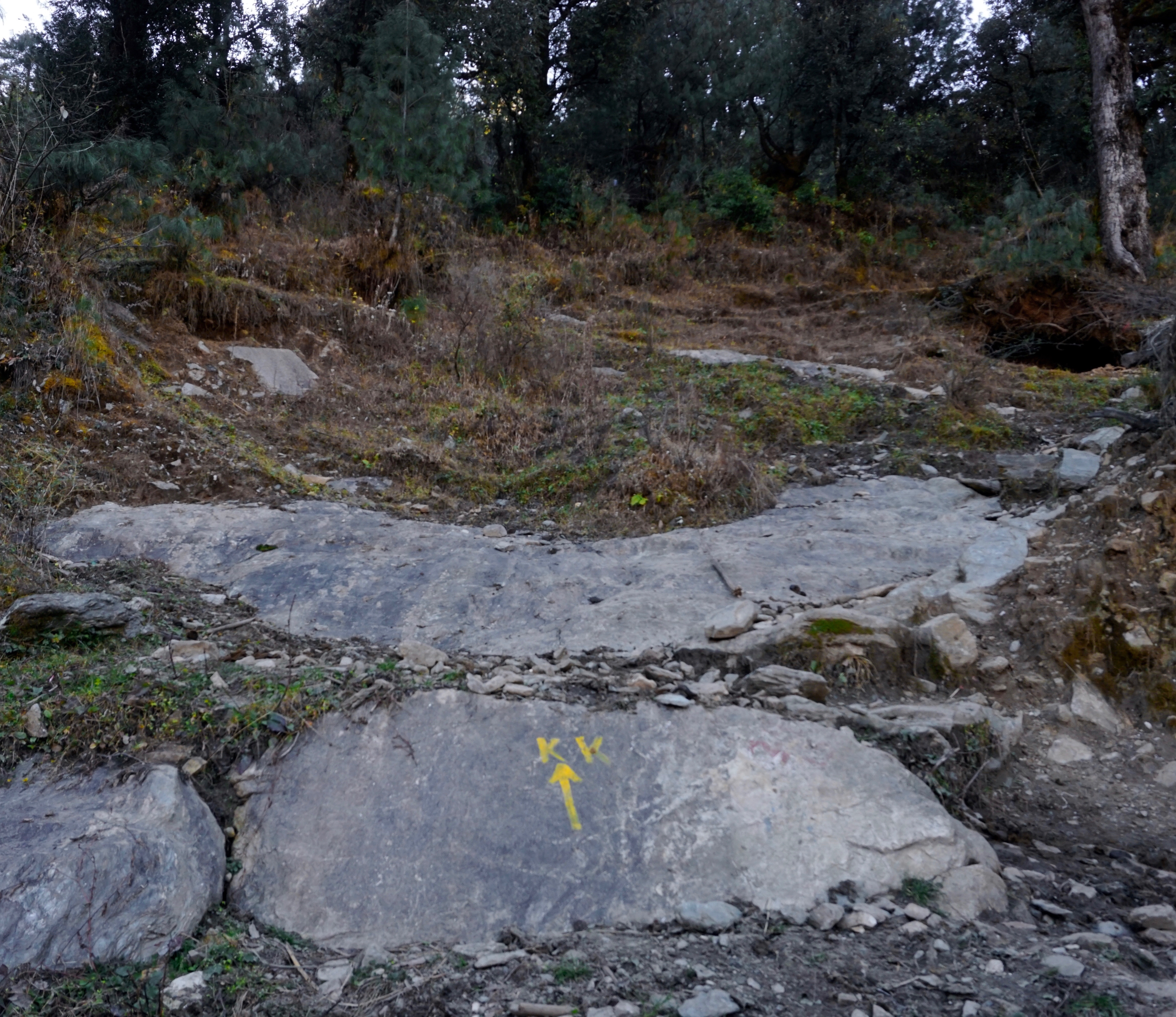 A mark on a rock shows the path to Kedarkantha.