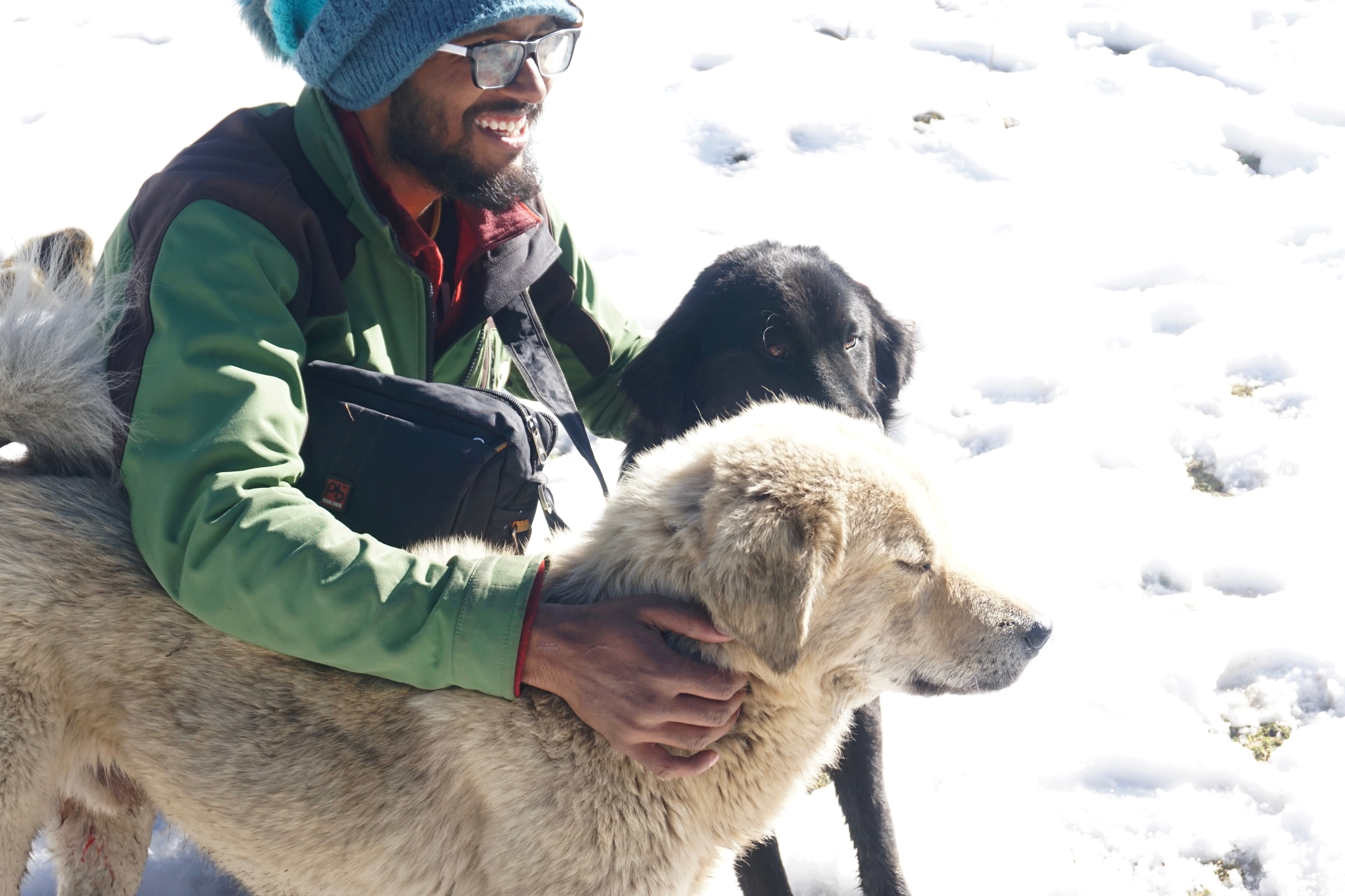 Karthik caressing two mastiffs at lunch point.