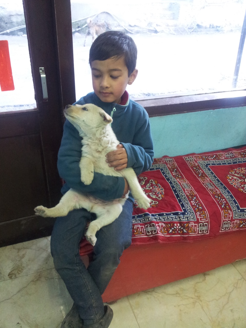 Anubhav playing with a stray puppy.