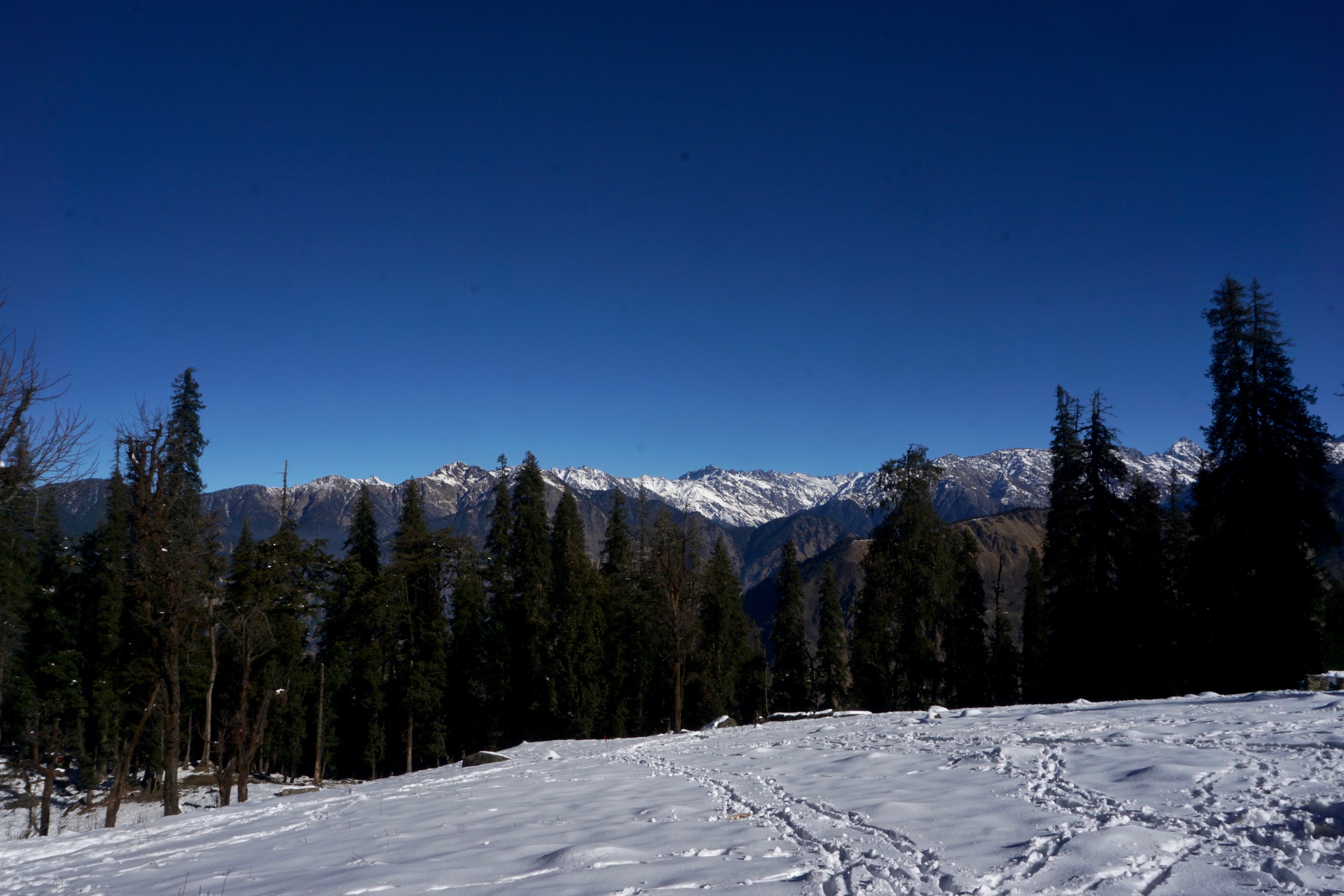 Flat meadows before the lake.