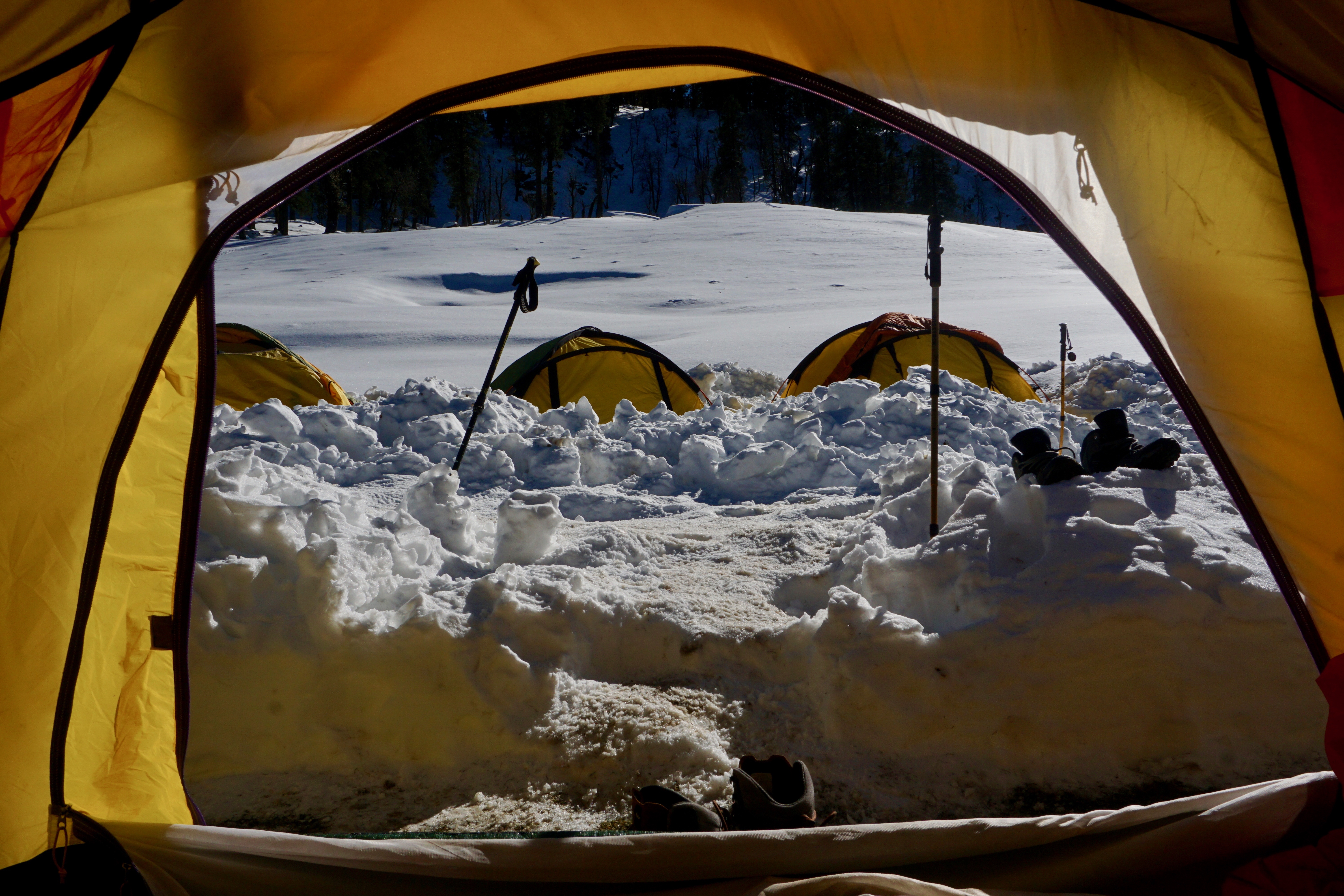 More tents from my tent.