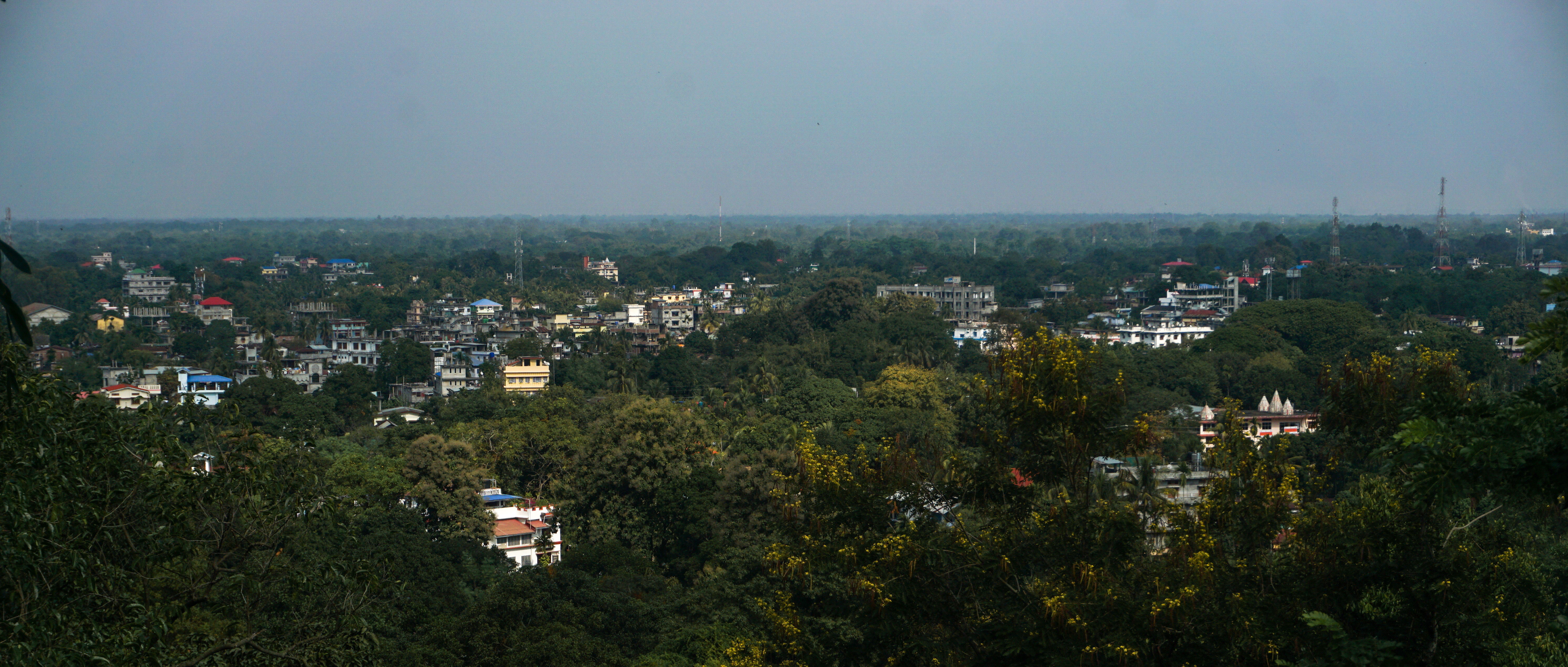 &hellip;and a view of Tezpur partially obscured by foliage.