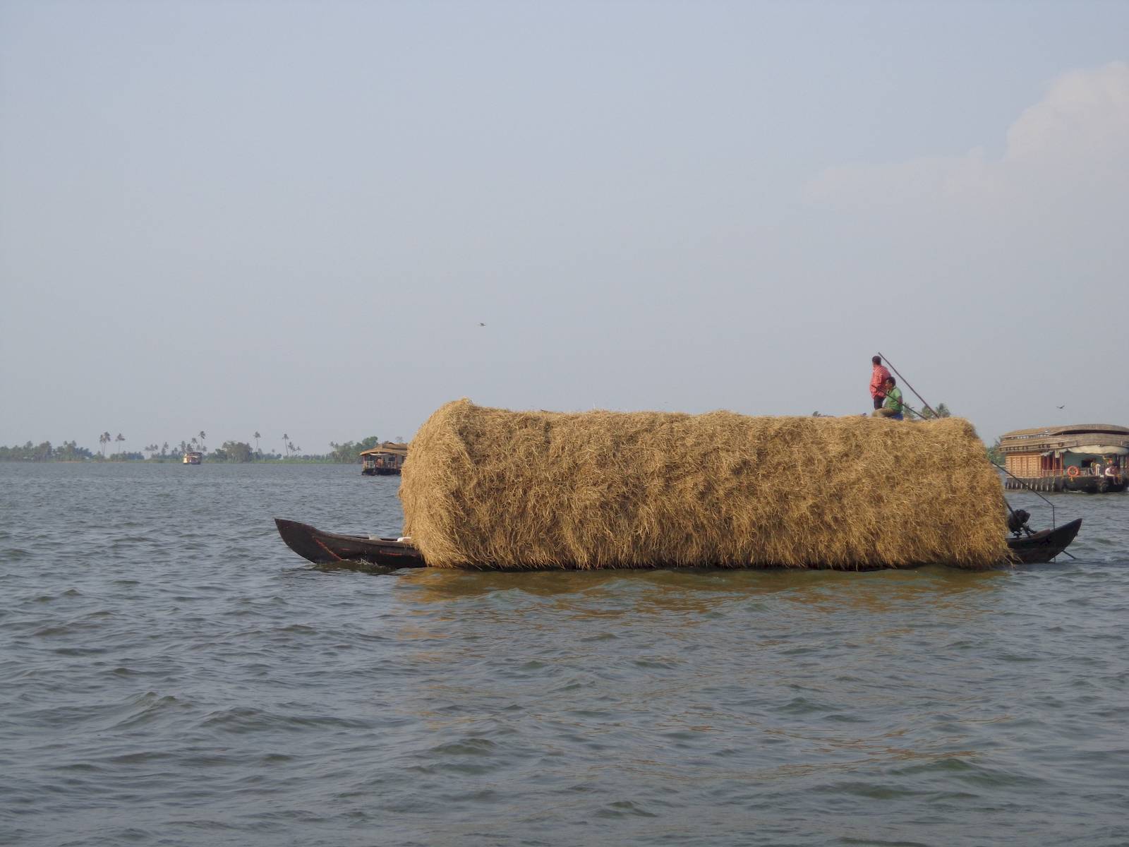Locals transporting hay on canoe.