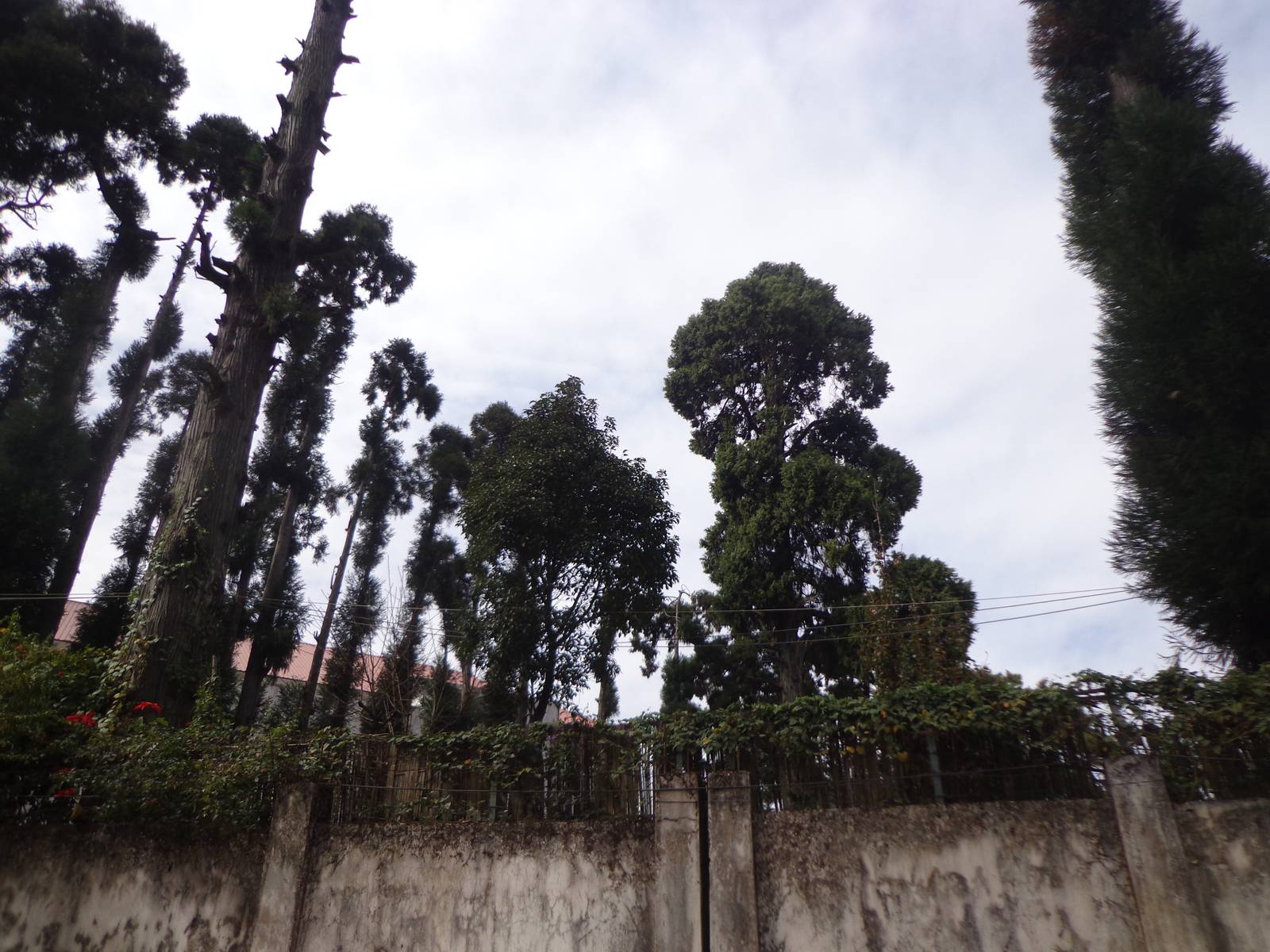 Shortcuts like this through the cantonment area are really picturesque and are well worth the walk.