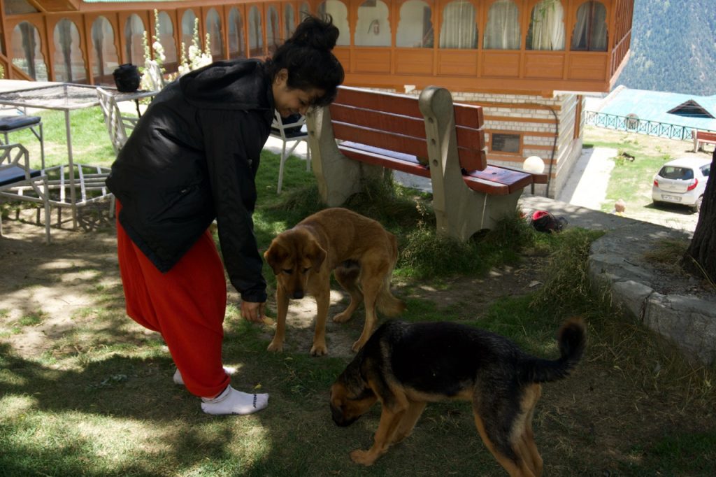 Ankita feeding biscuits to dogs outside the guest house. She owned a dog before and called herself a &ldquo;dog mom&rdquo;. In case you want to follow her (or ask her about a place to stay in Bir), her instagram handle is @tipsybanjaran.