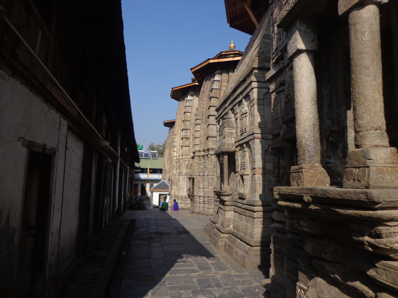 &hellip;and this is the back yard.