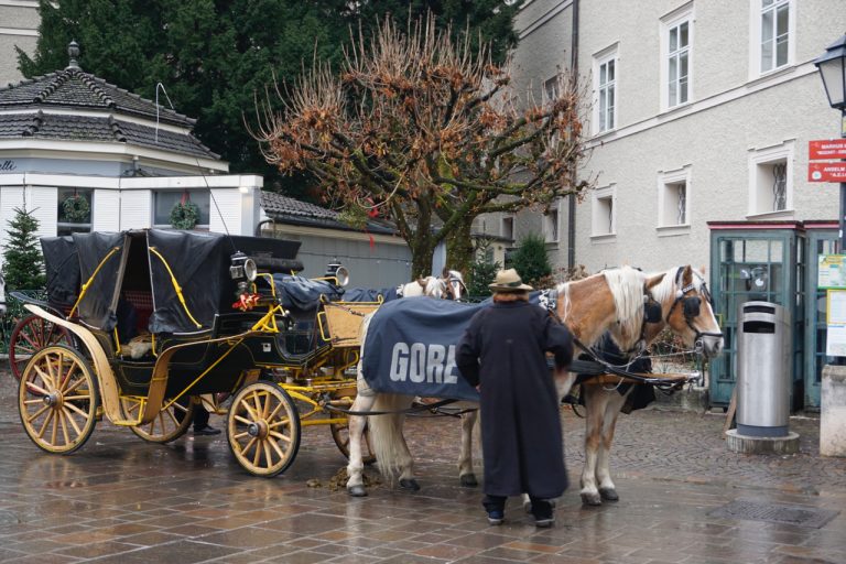 Horse carriage for tourists. I did not know that Gore-Tex was used for horse rain sheets.