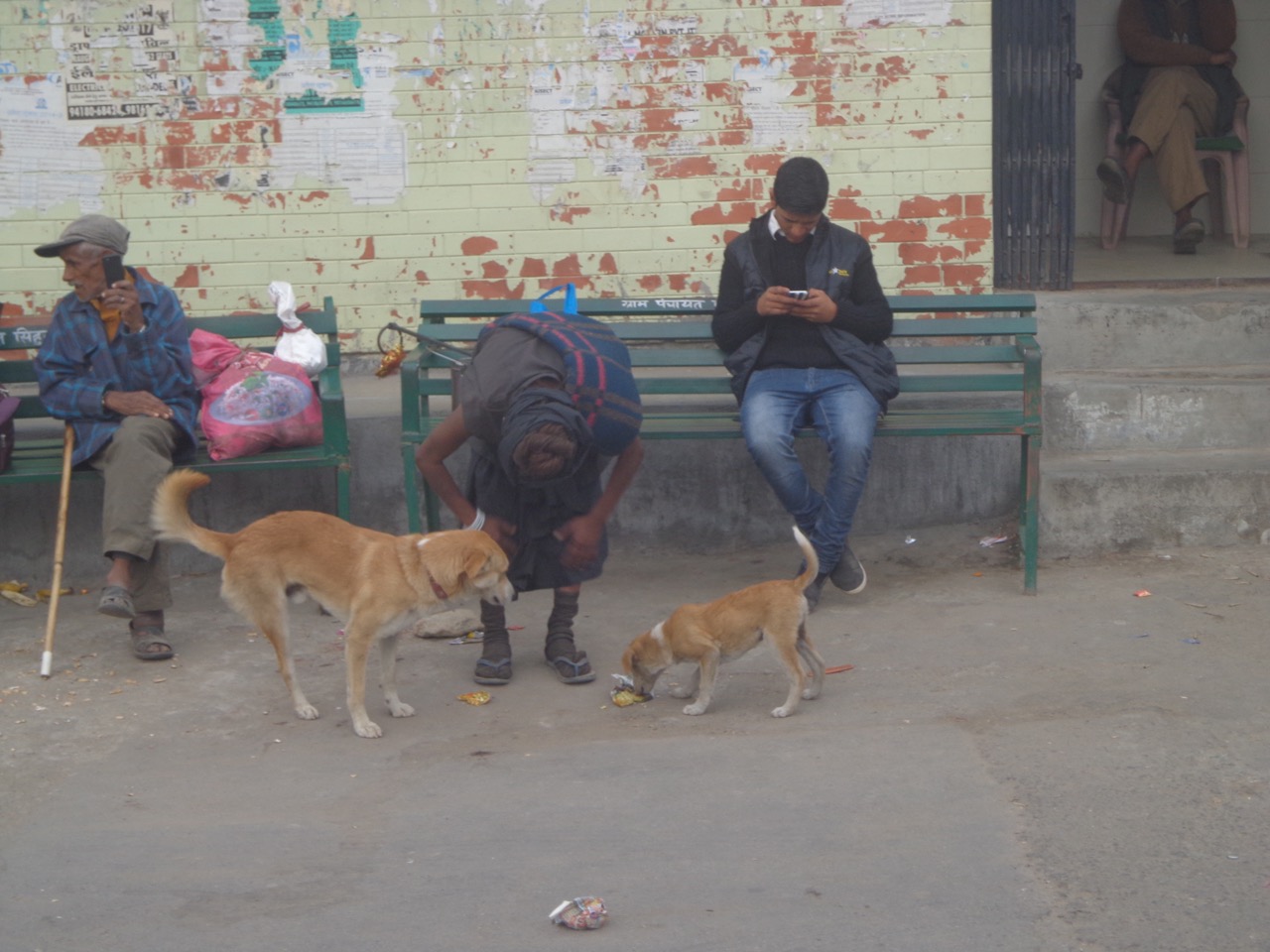 An ascetic feeding two dogs. I took this photo when the bus had stopped to let a large number of marriage attendees in.