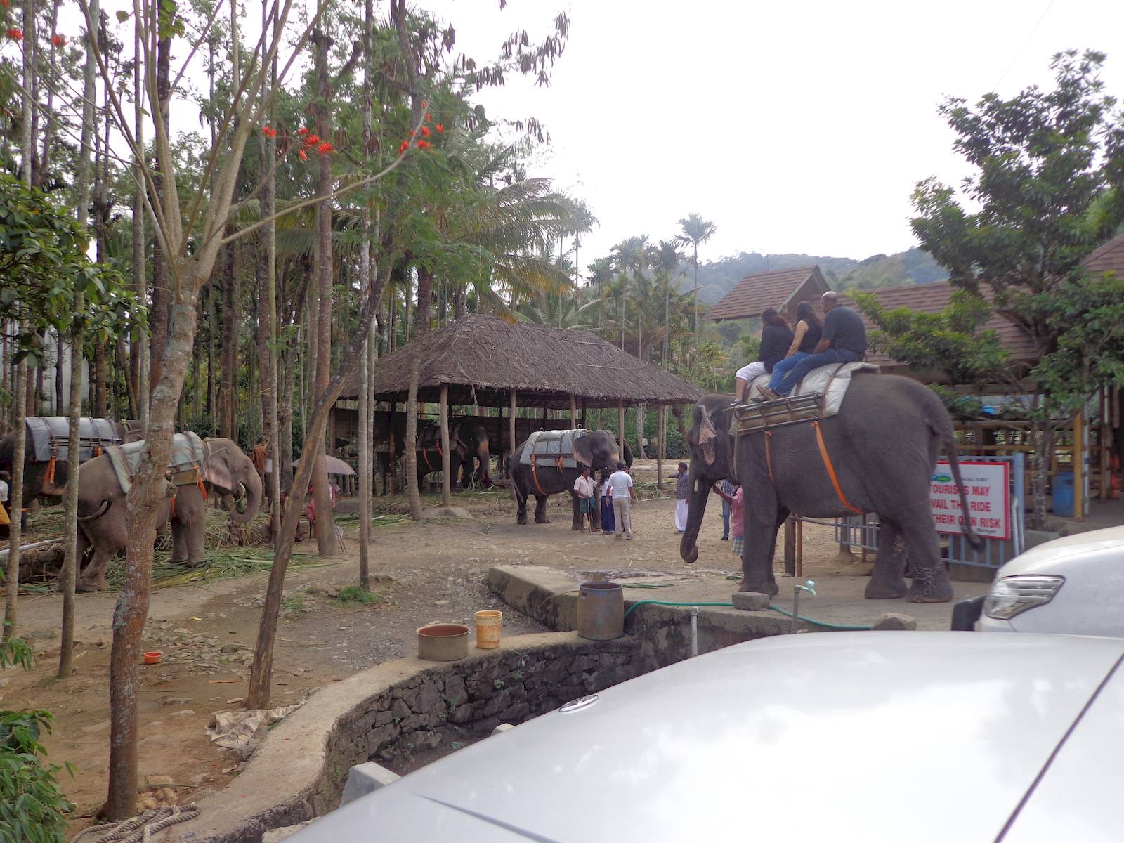 Elephant rides outside the Kalari / Kathakali centre.