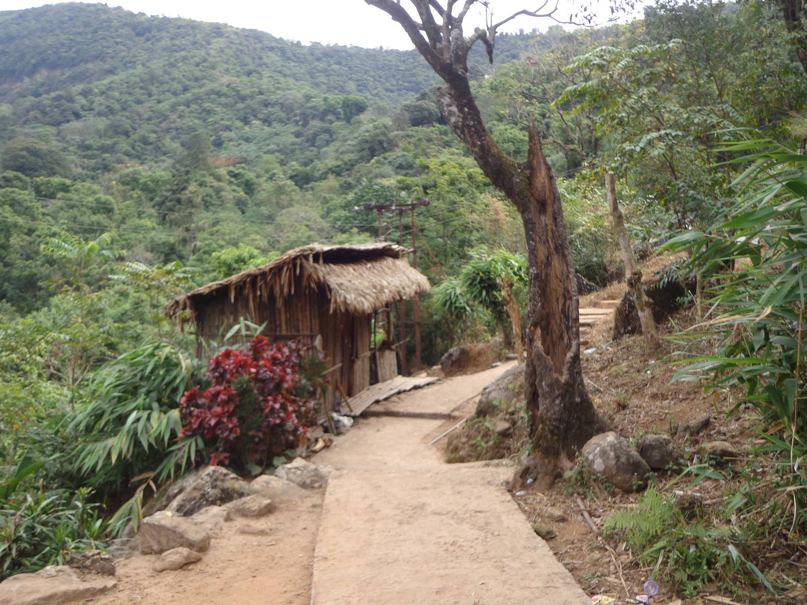 Tyrna is the last motorable point. This is the entry to Lumsophie village.