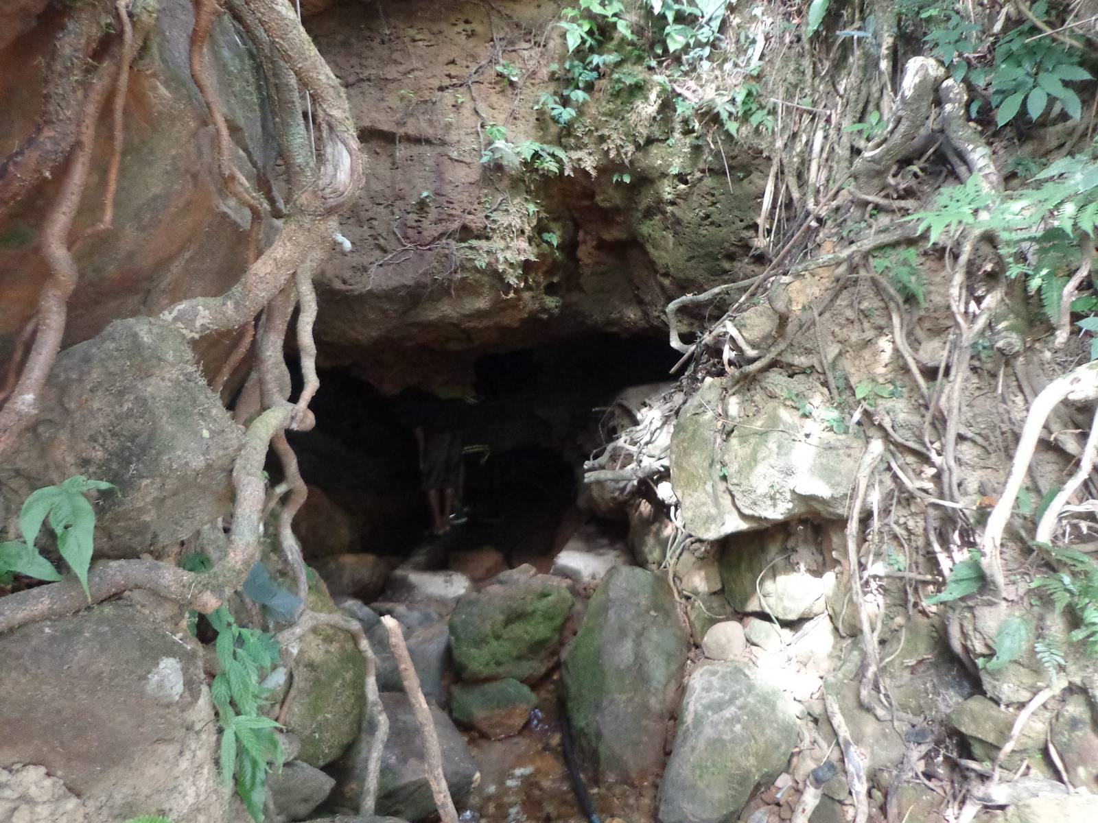The entrance to the cave.
