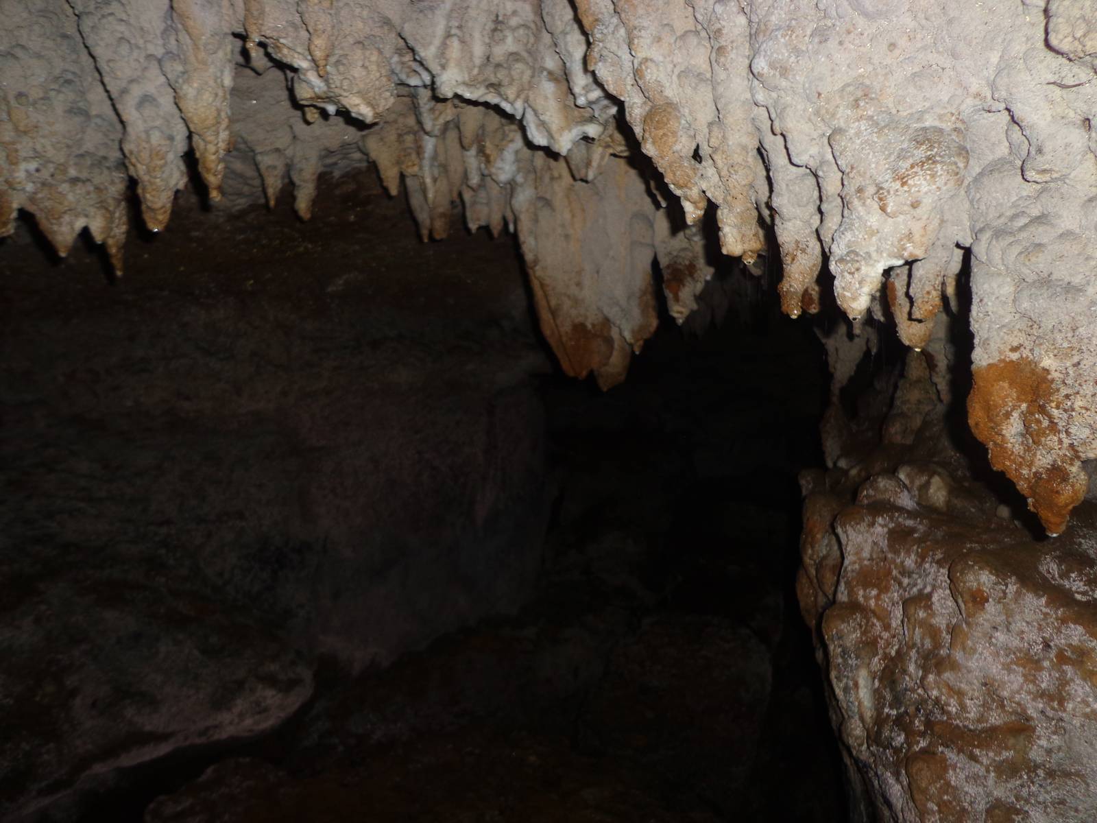 A cul de sac in the cave with stalactites hanging down the ceiling. Since it is a newer cave, the stalagmites are ill formed.