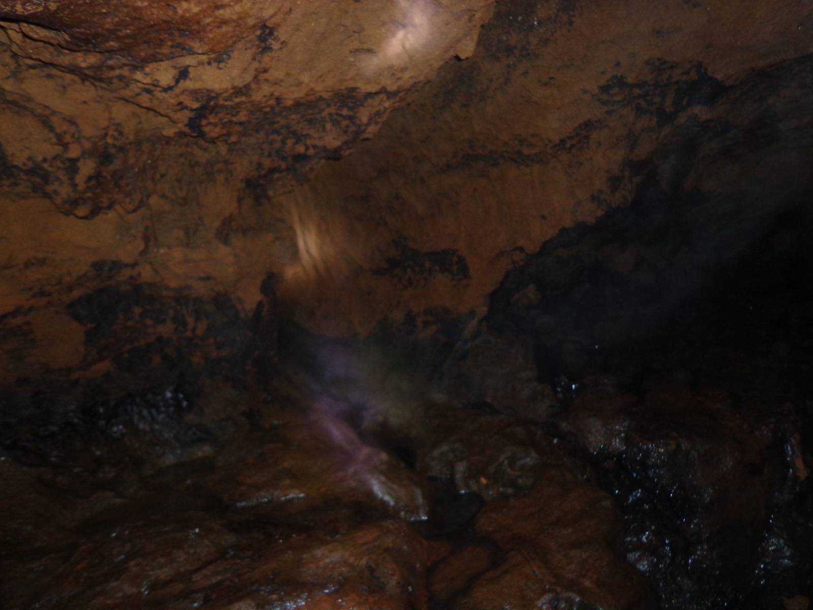 A close up of the crawlspace. There were areas where we had to climb down into pits.