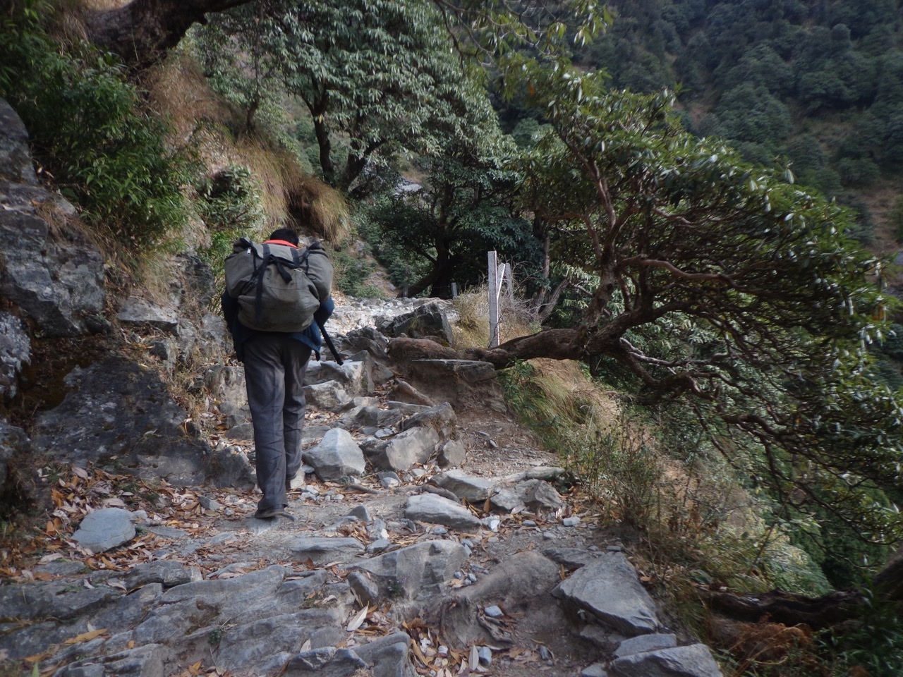Purushottam carrying food for the troupe of foreigners who were scheduled to arrive in a few hours.
