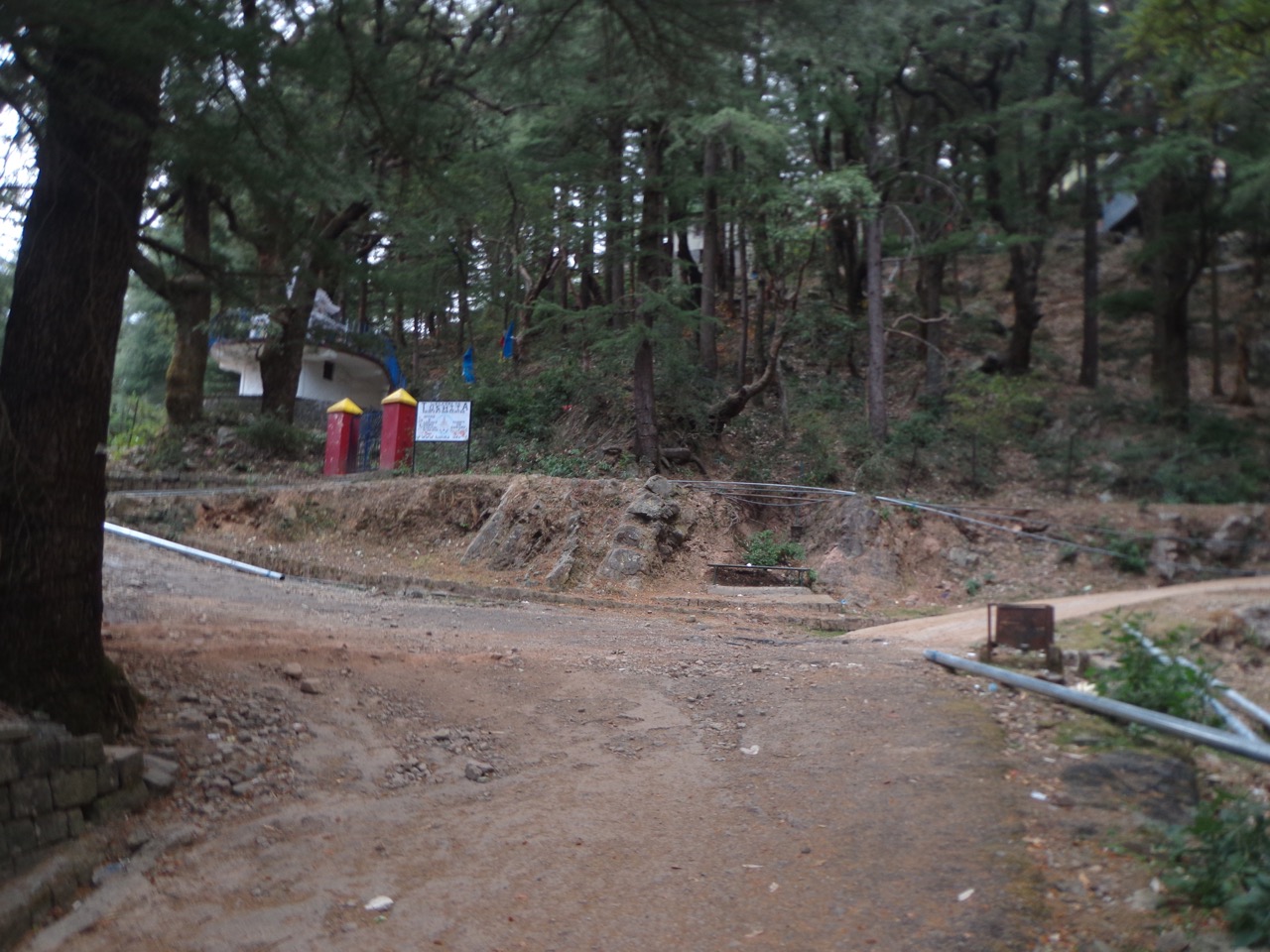 From the McLeod Ganj facing gate of Tushita Meditation centre, take the left trail. The metalled road on the right also reaches Dharamkot but it would take longer.