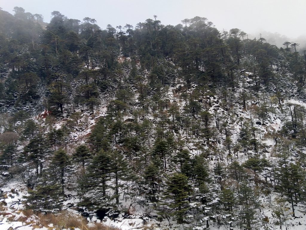 A vista from the last point we were able to drive to.