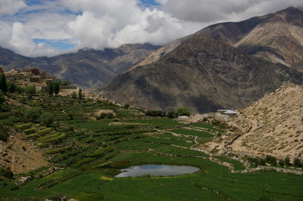 On one of the sides of the village (opposite to the Nako lake) terraced farming is done. Farming and rearing are the primary occupation of the villagers.