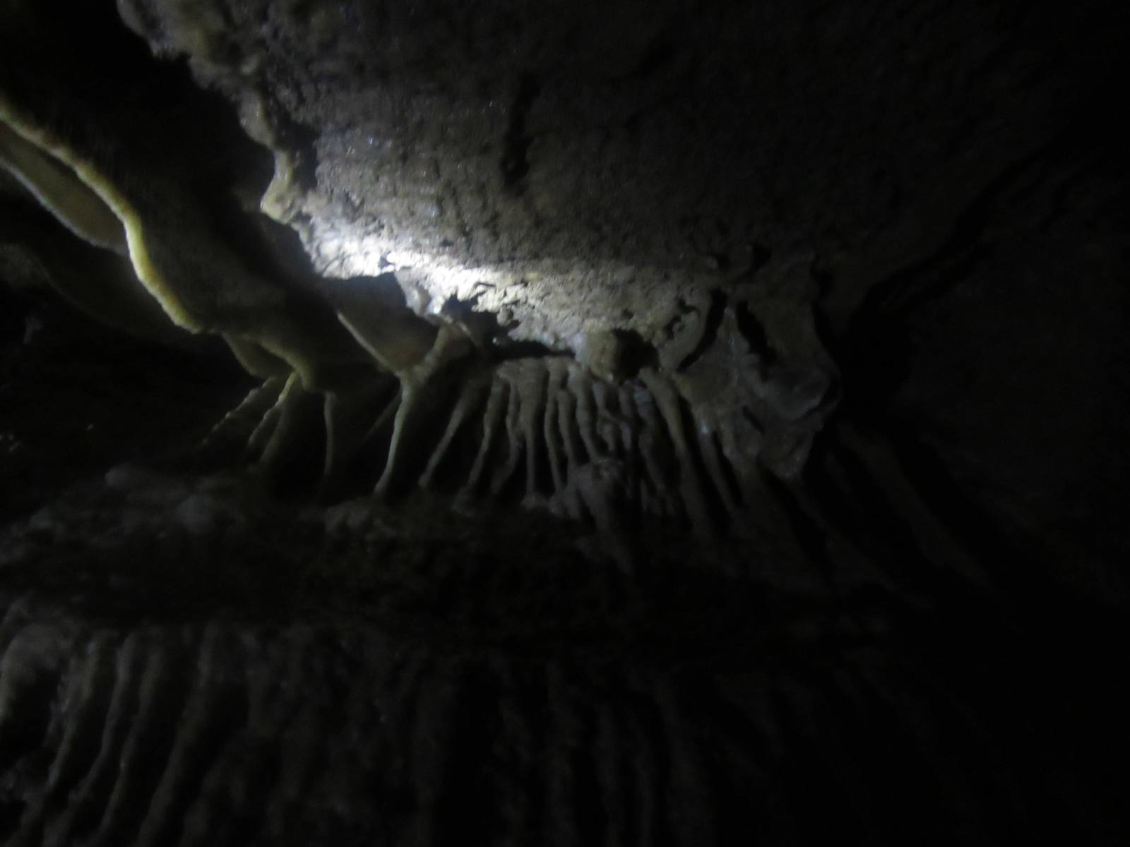 Ill formed stalactites. After all, these are new caves. Image courtesy: Gowri Sankar.