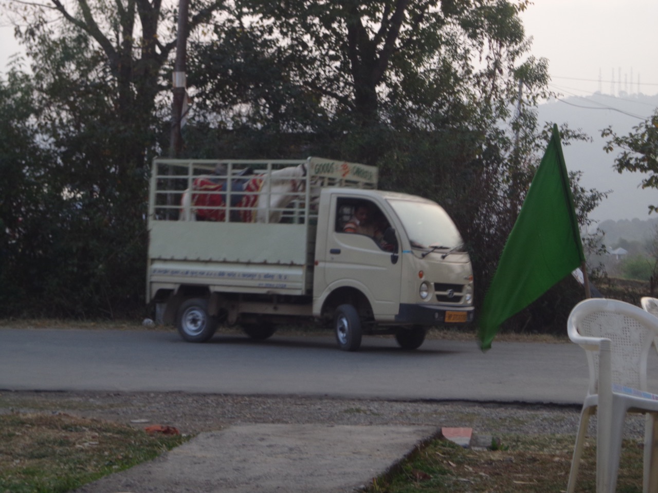The horse was carried on a mini truck. The horse would eventually carry the groom.