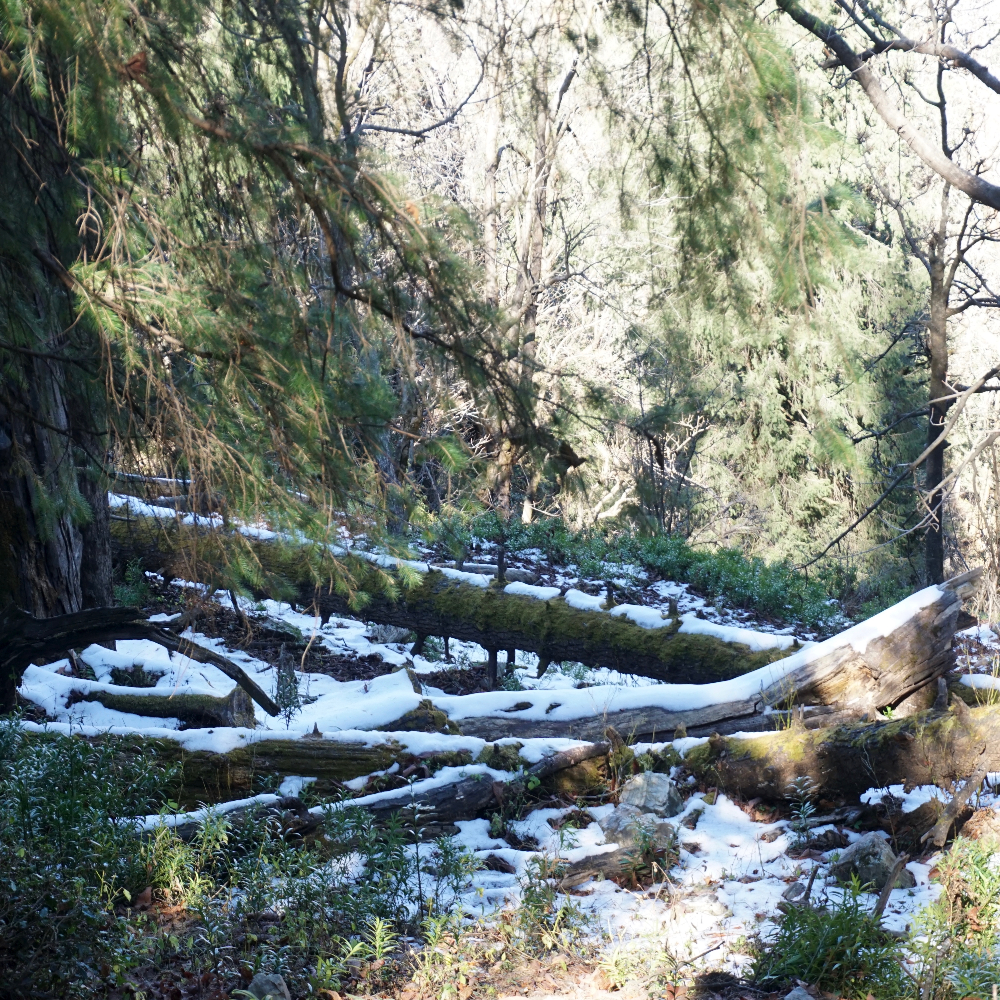 In the devastated landscape, a lot of people worked hard to restore transportation. Even back then women did a lot of hard labour.