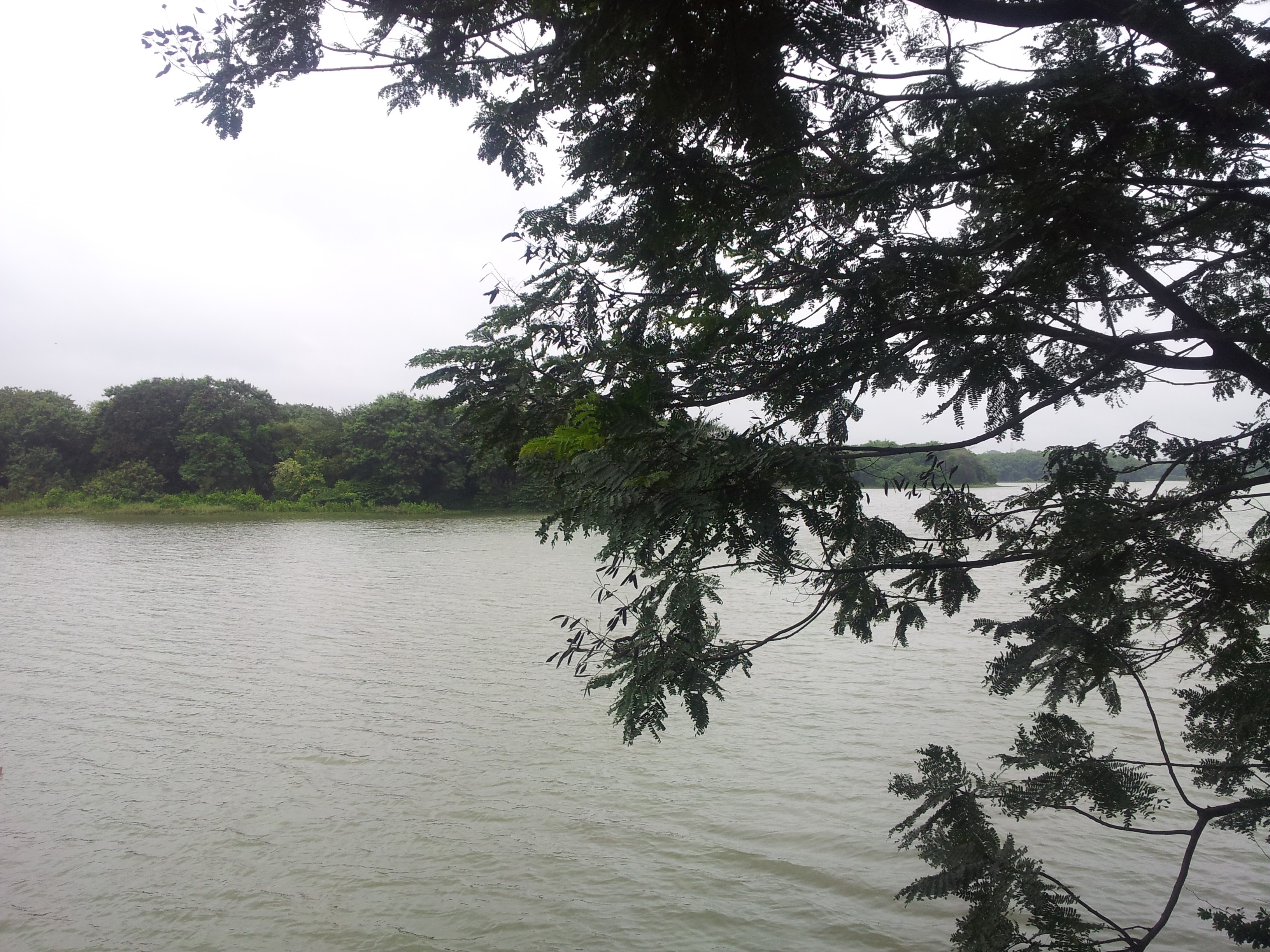 Hebbal Lake looked really nice in the rain.