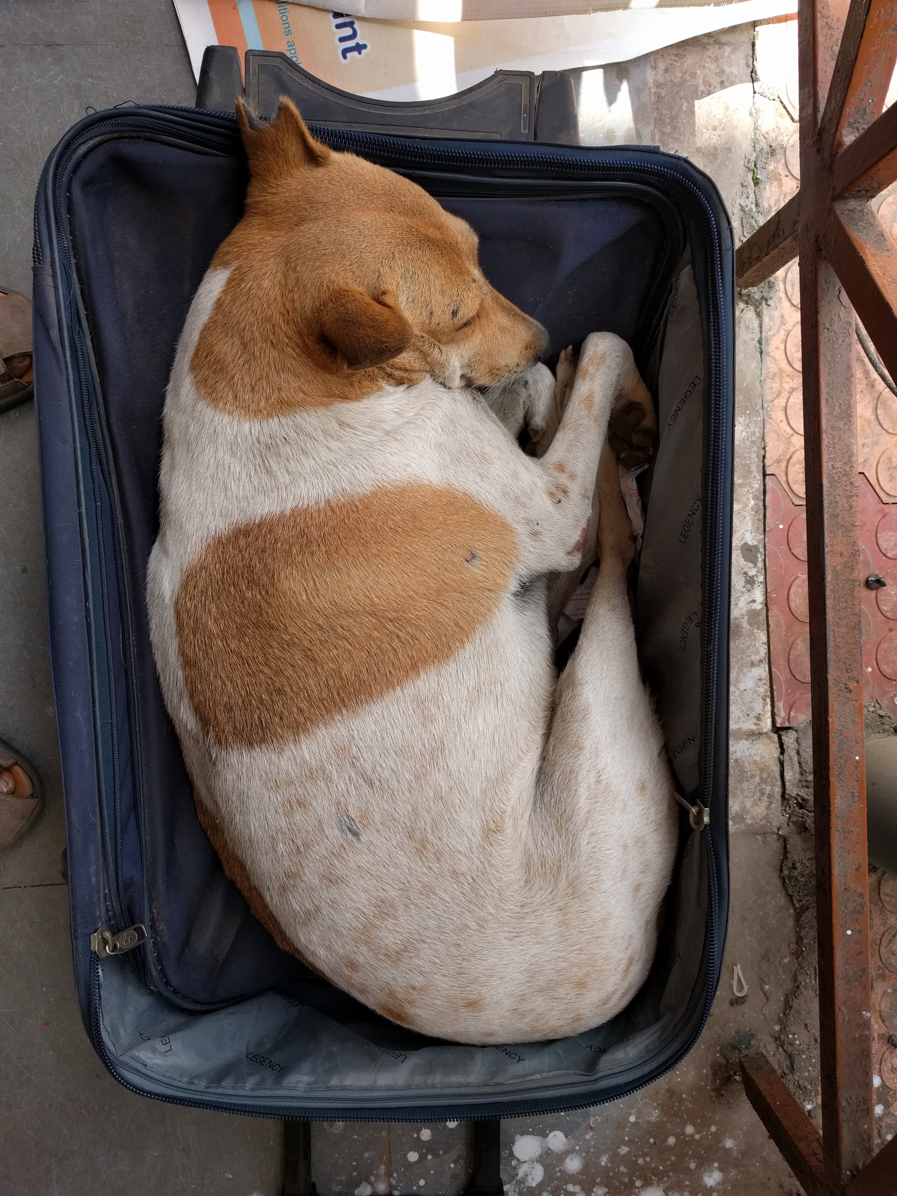 Surreal photo of the day!