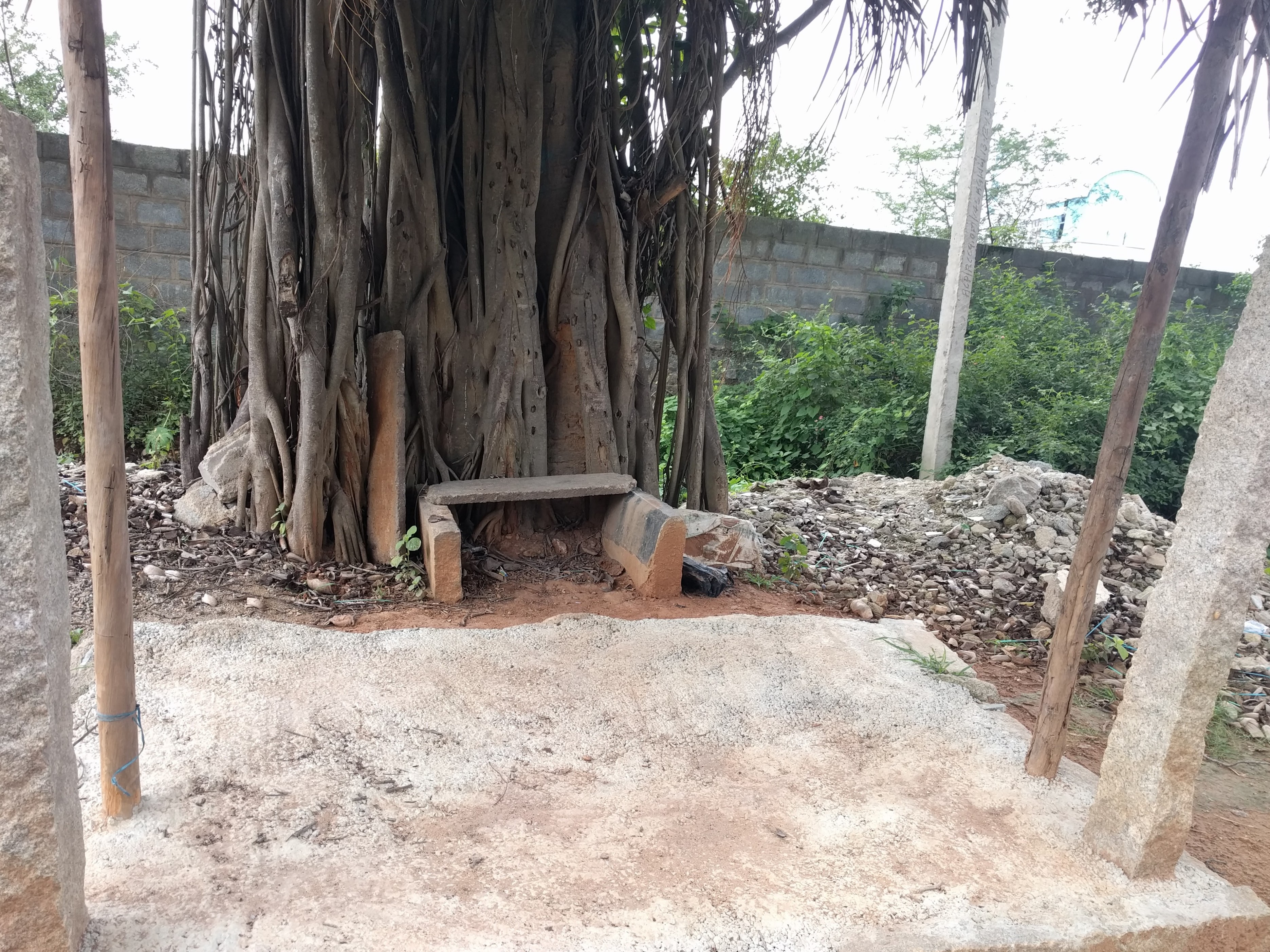 An empty throne! This is more surreal than the one I saw few weekends ago.