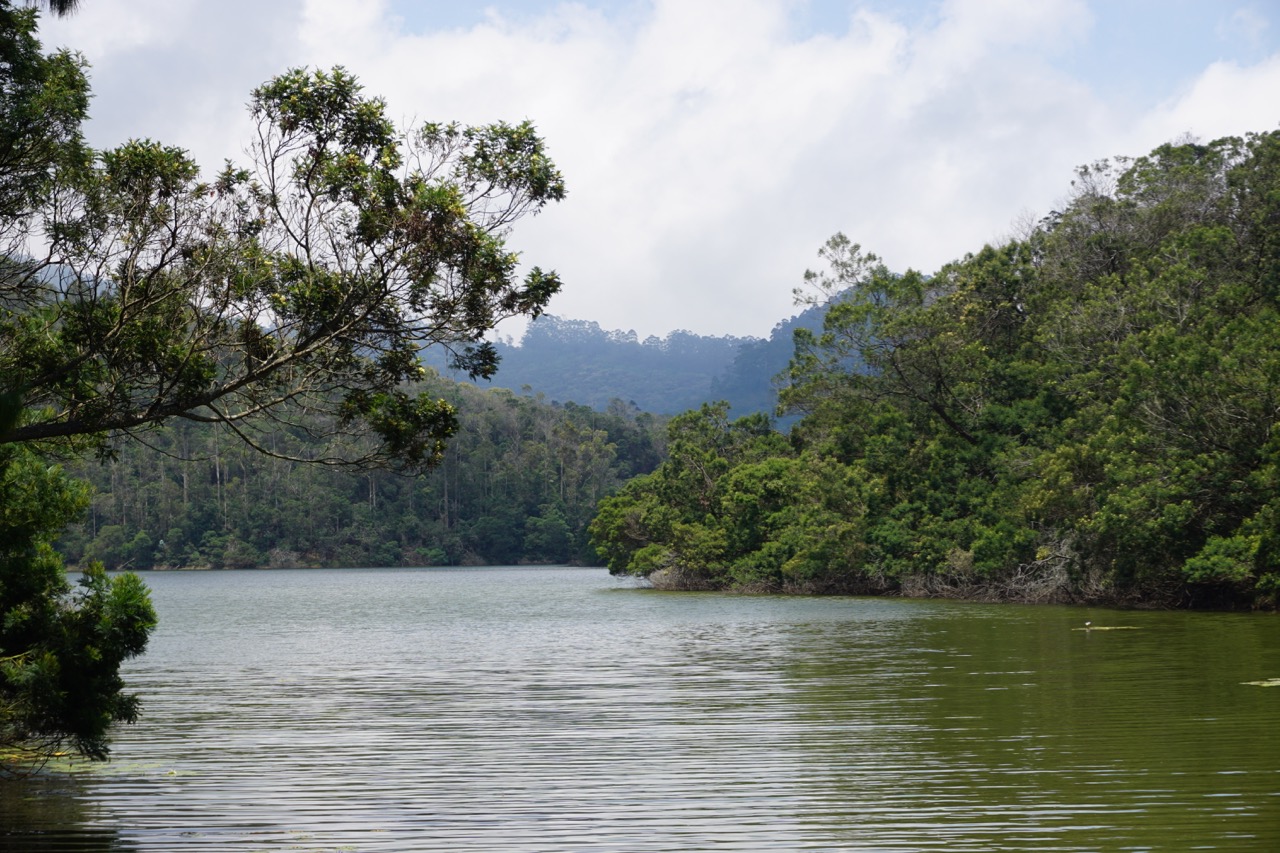 Only a tiny fraction of the lake’s bank is accessible to the general public.