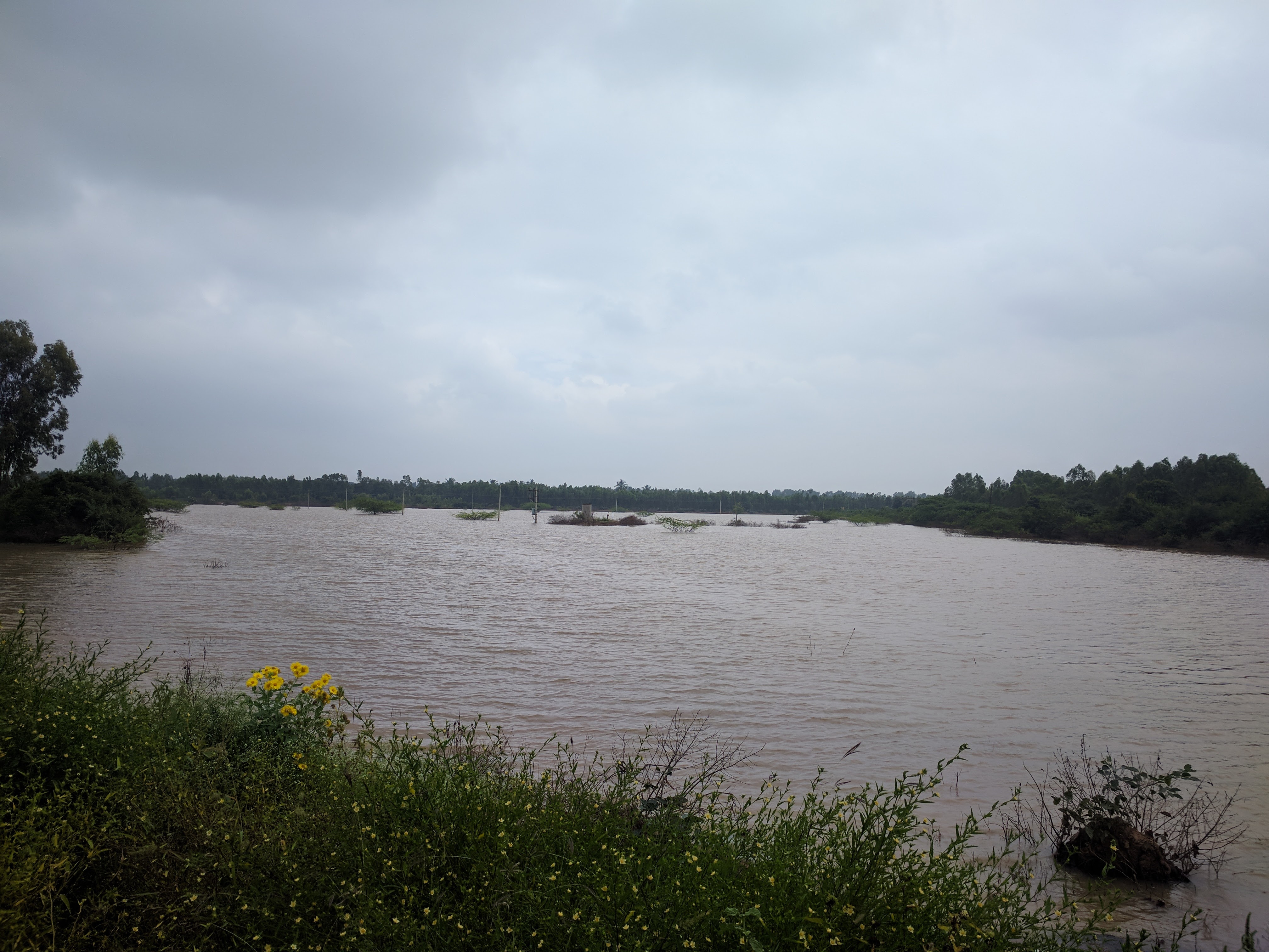 Karnataka had seen an awful lot of rains during the last few months. The lakes were all filled up.