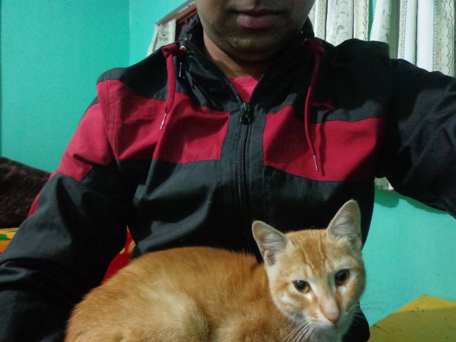 The cat was sleeping on Gowri Sankar’s bed. Gowri Sankar was too asleep to notice his bedmate.