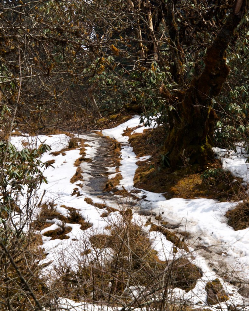 Some parts of the trail was still covered in snow.