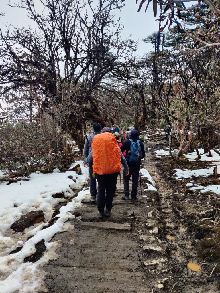 These beautiful paved trail passing through rhododendron forests start somewhere before Phedang. (Pic: Dipankar)
