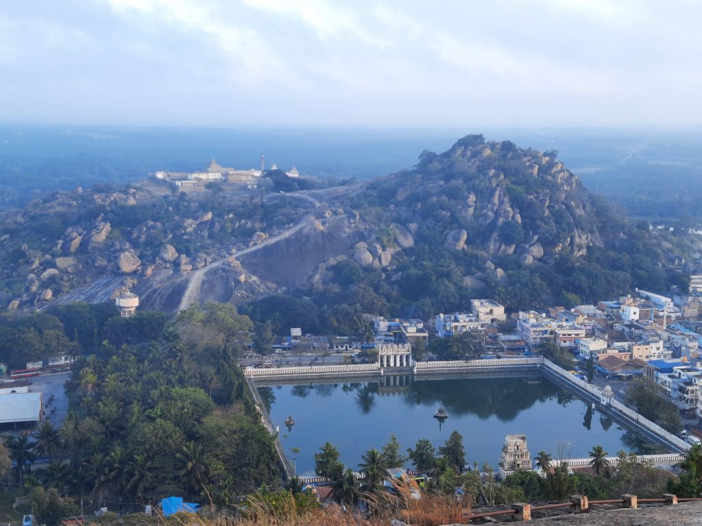 A view of the town from atop.