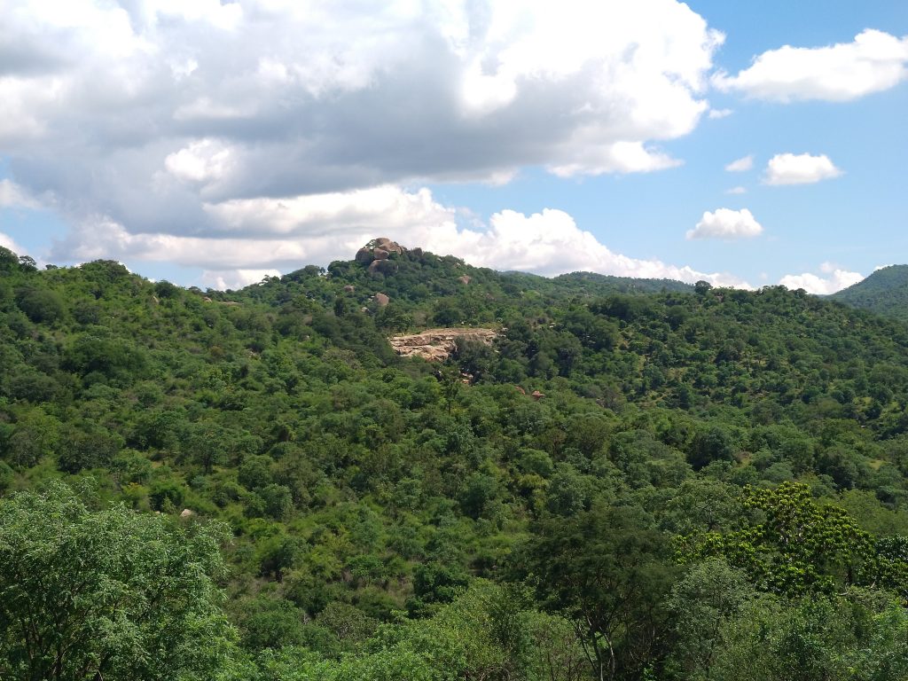 Krishnagiri range view-point after a taxing climb.