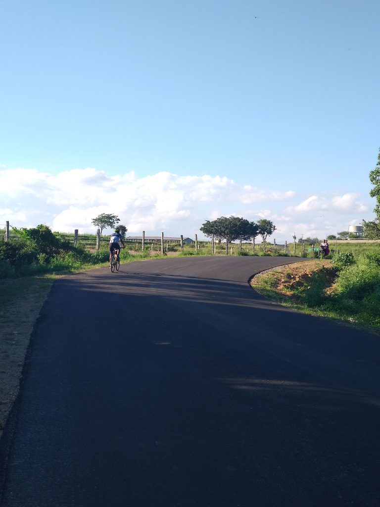 This stretch of the road was amazing.