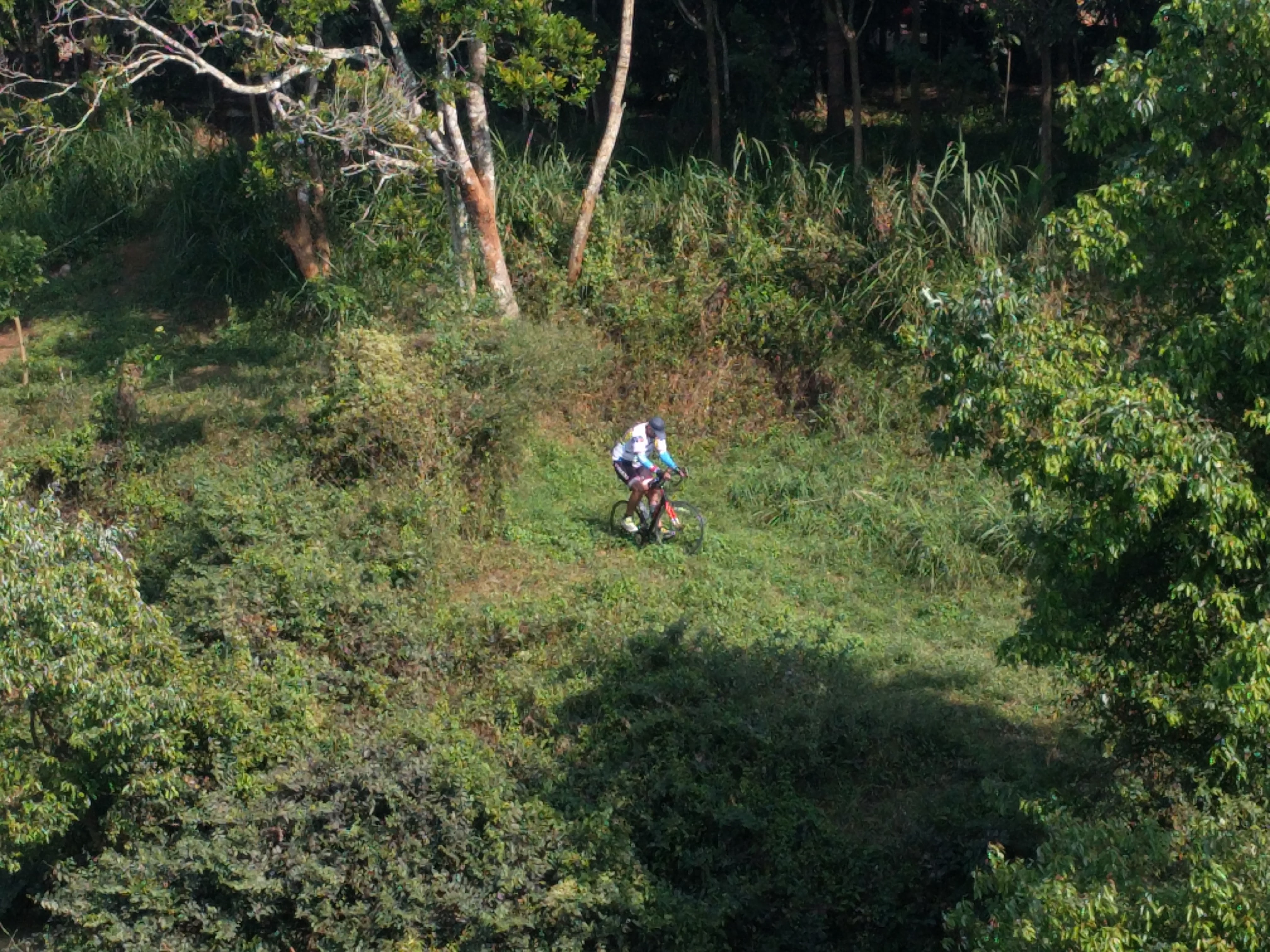Detour of Nilgiris!