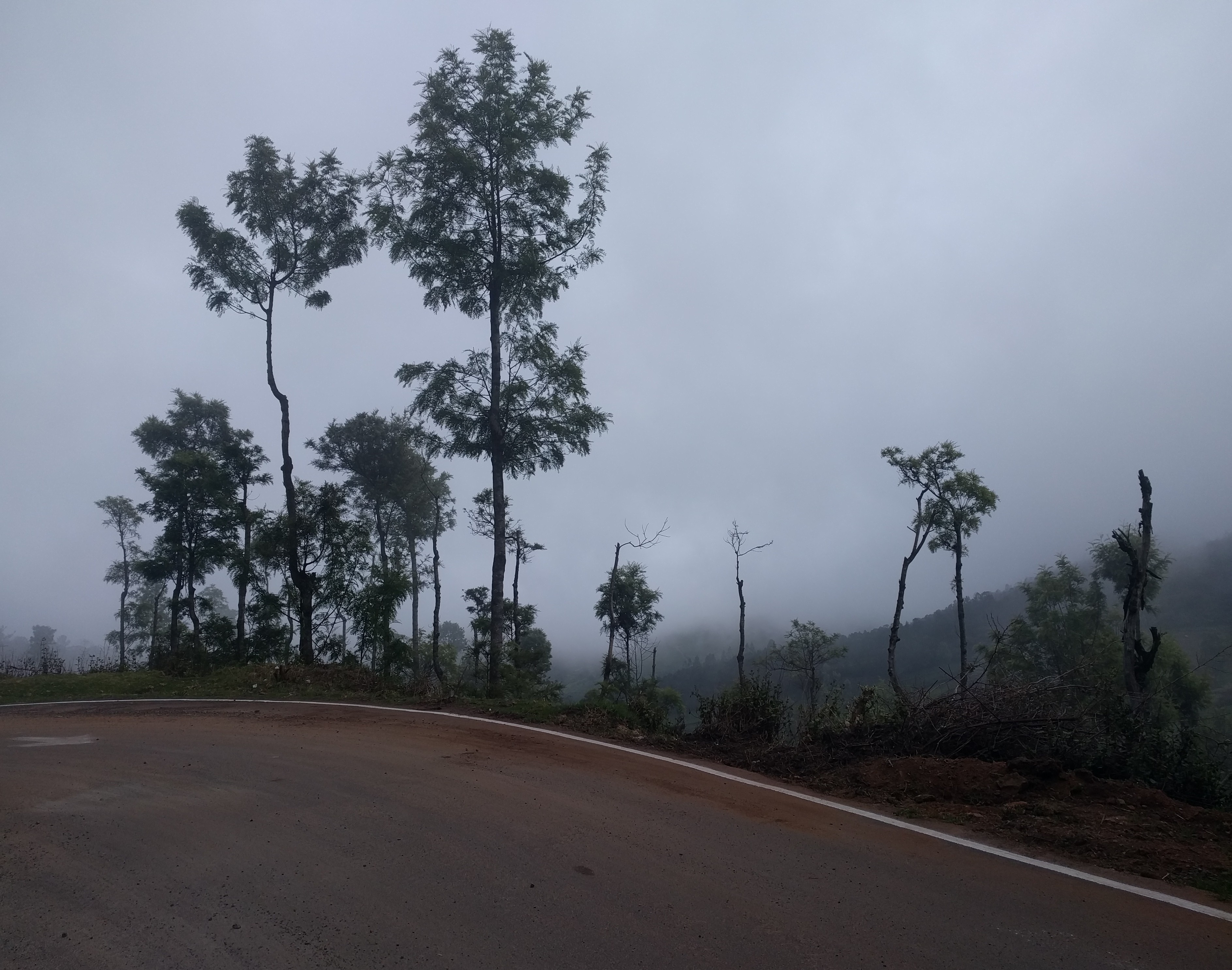 Only the nearest trees were visible. A fellow rider, Mayank, was about 100 metres ahead. He wasn’t visible at all.