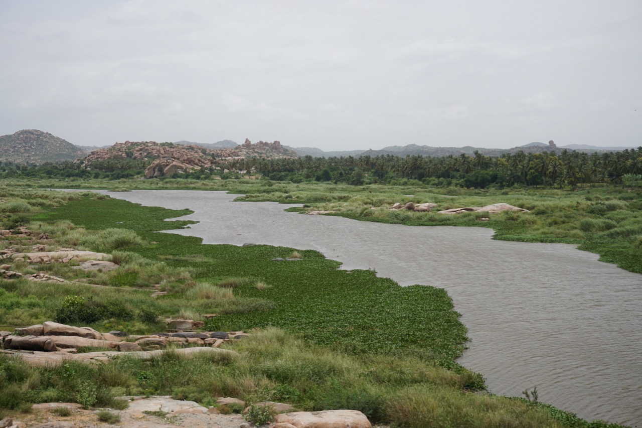 This breathtaking view of Tungabhadra from the top of a small bouldery hill surpasses the temples at Anegundi. While trekking up the boulders, I realised that the Nike shoes I have been wearing for the last year is a piece of garbage.