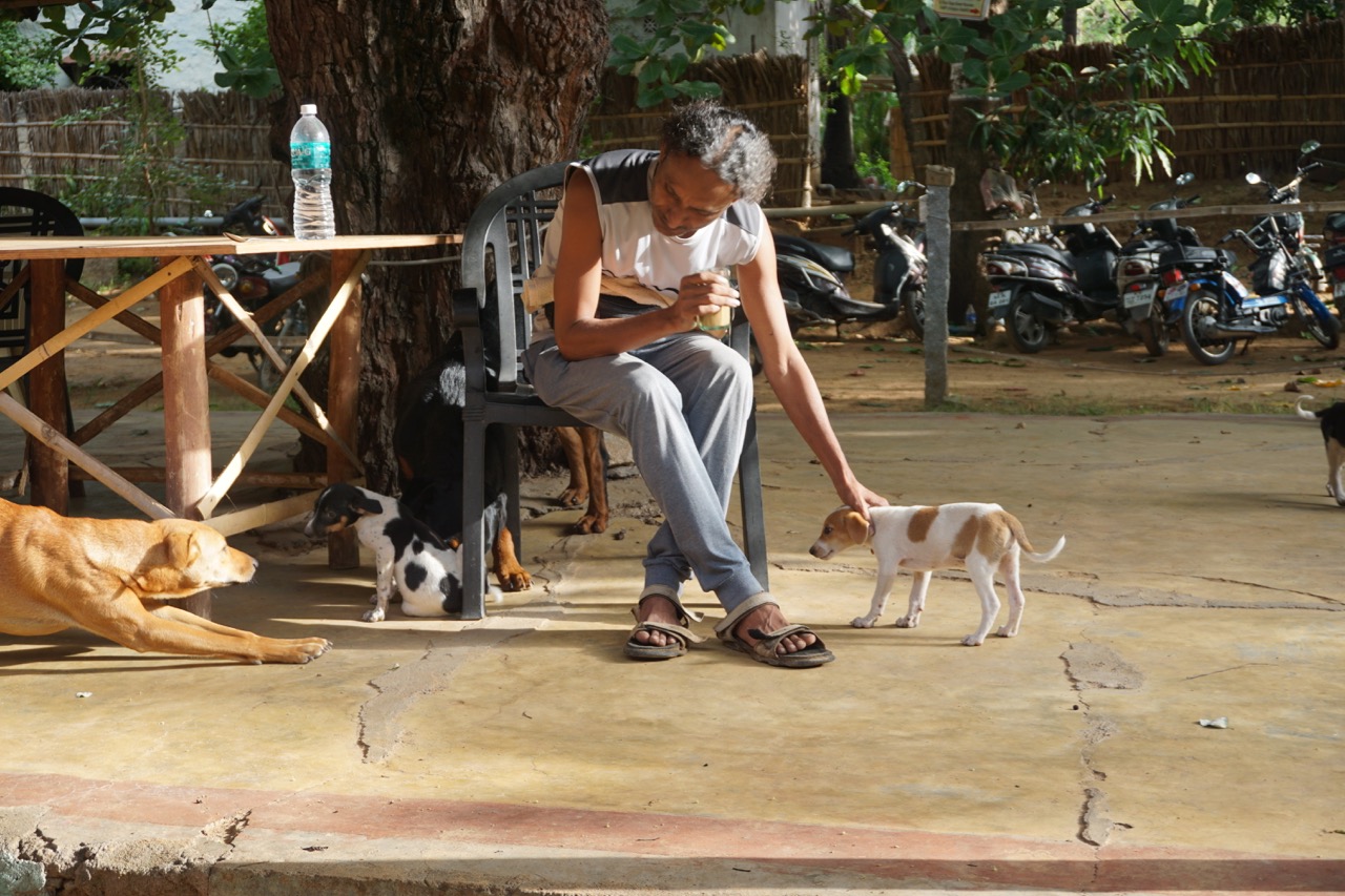 Funky Monkey had many dogs and puppies as pets.